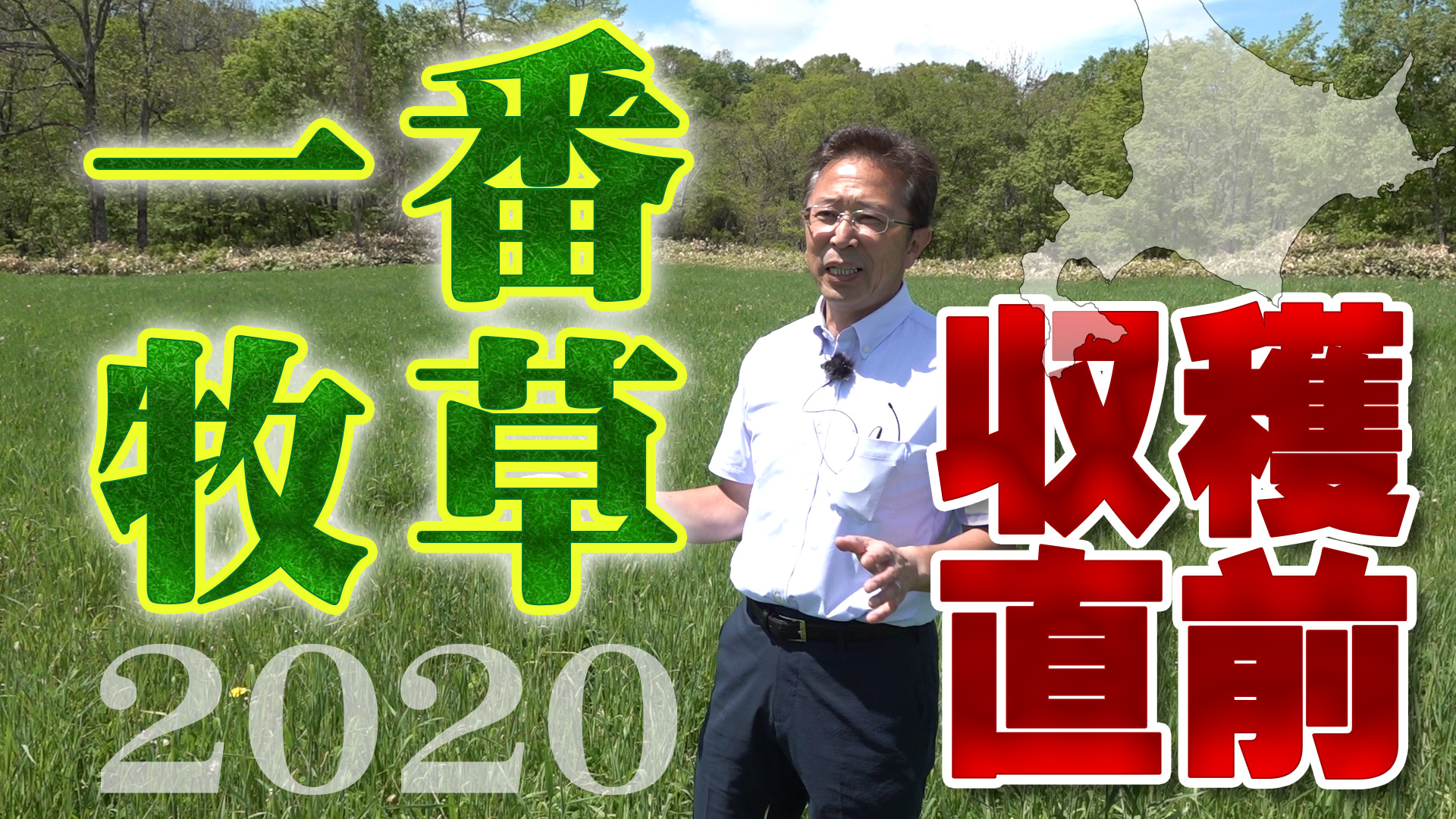 2020年一番牧草収穫直前！化学肥料未使用牧草の生育は？【第142回】