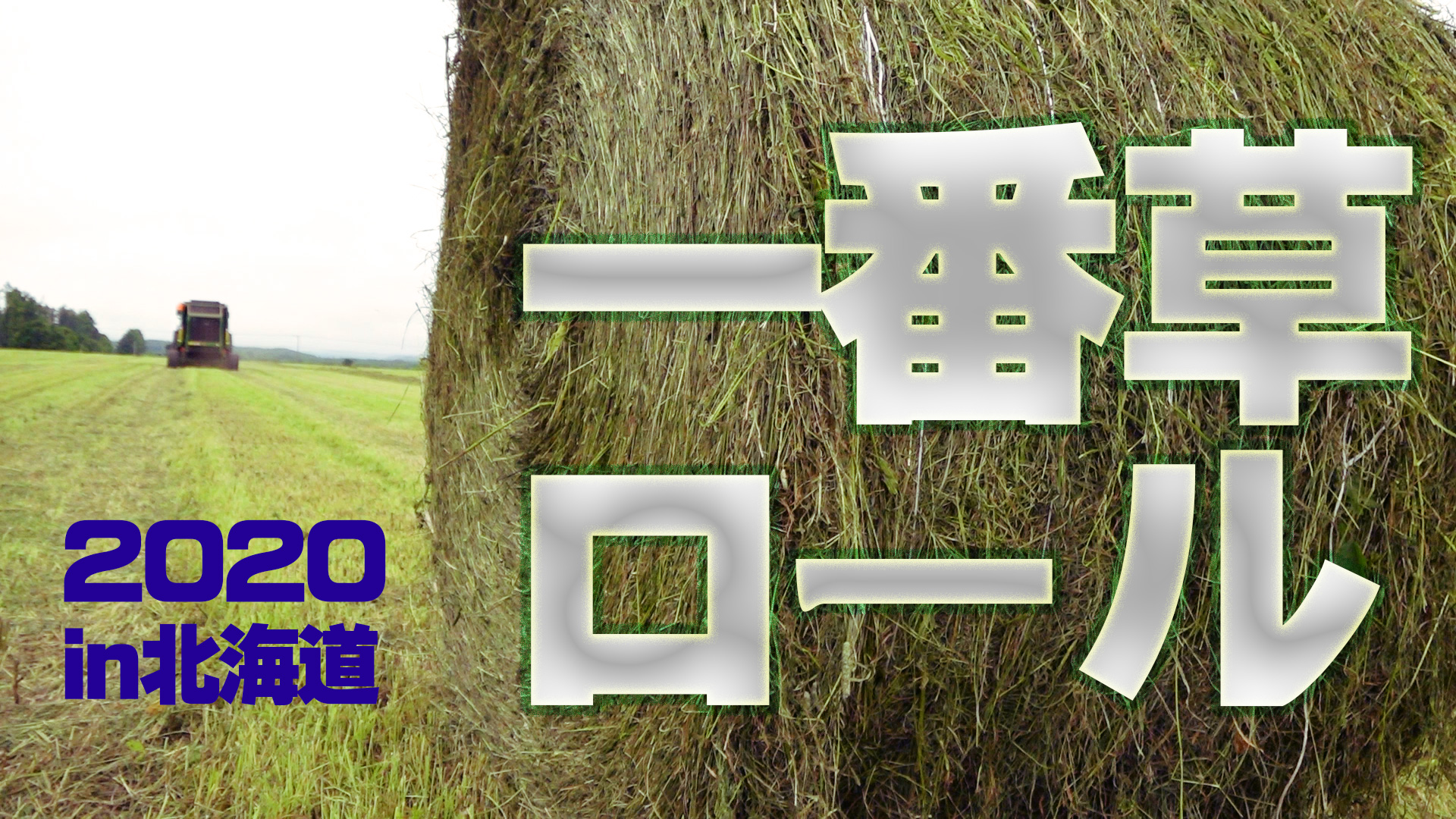 【2020一番牧草収穫ラスト】ロールベーラでの収穫作業風景in北海道【第148回】