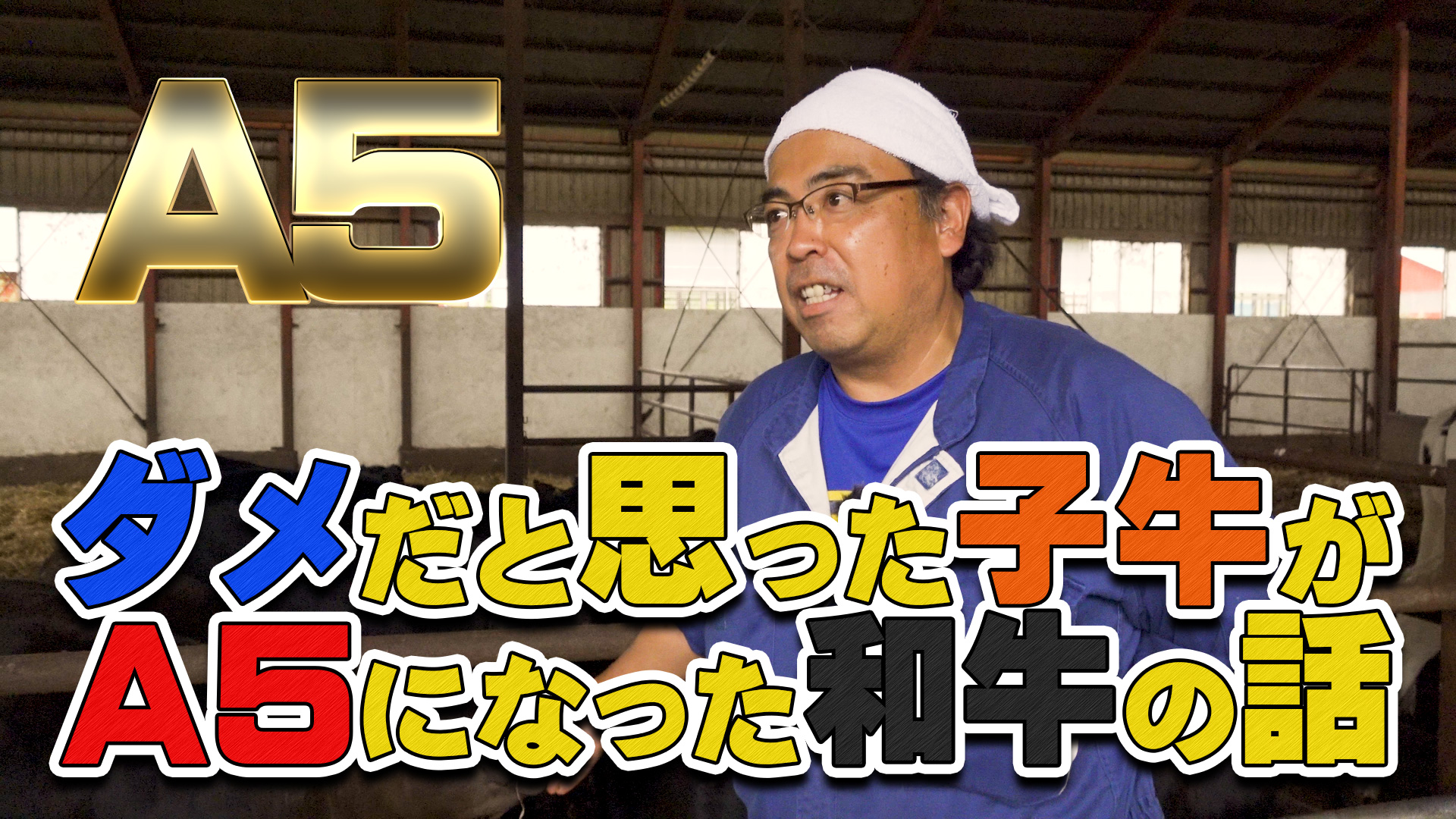 【和牛】 ダメだと思った子牛がA5ランクを獲った話【第155回】