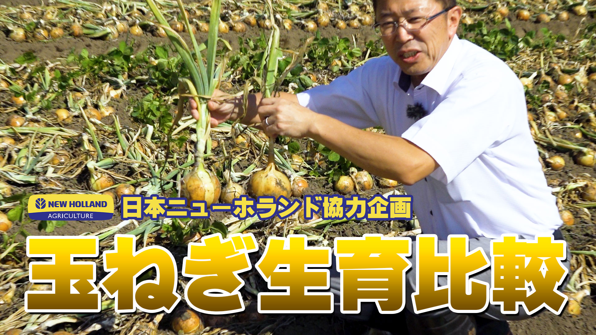 玉ねぎの生育調査をニューホランドに依頼した結果【第156回】