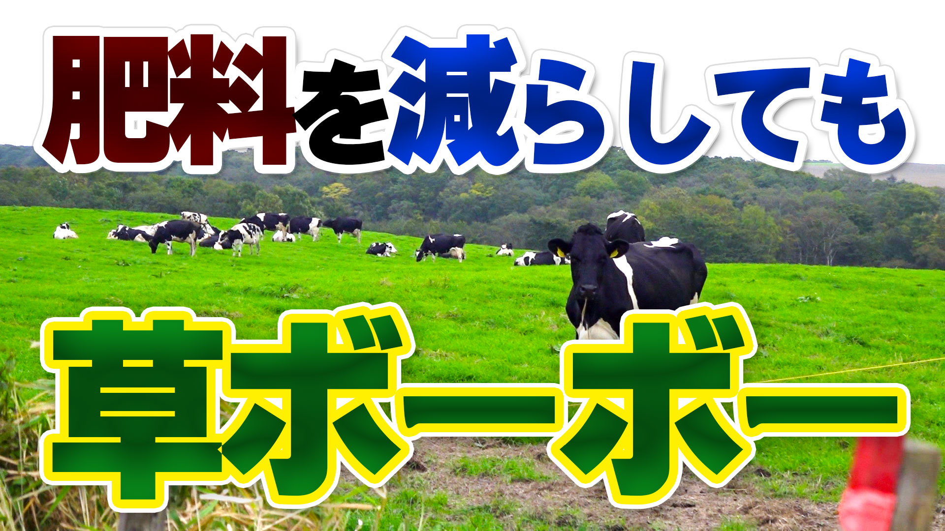 肥料を減らしたのに牧草が伸びている？！【第159回】