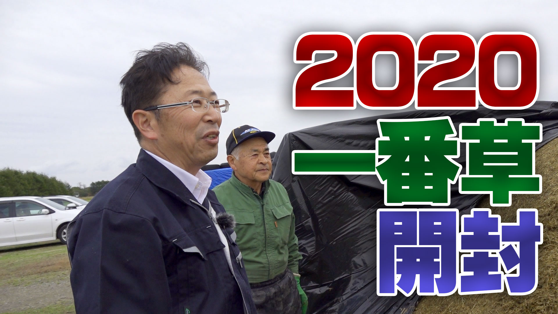 2020一番牧草サイレージ開封作業！美味しく出来た？【第161回】