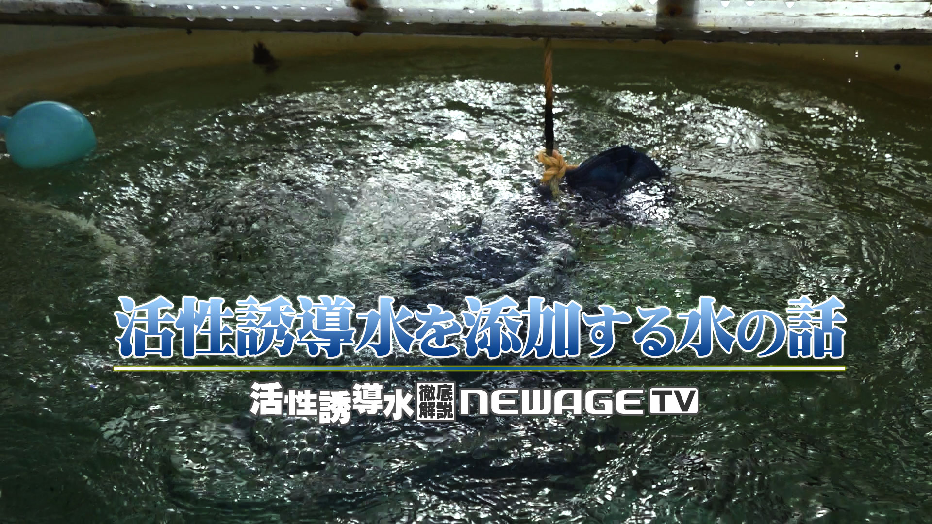 活性誘導水を飲水に添加する時の水の話【第165回】