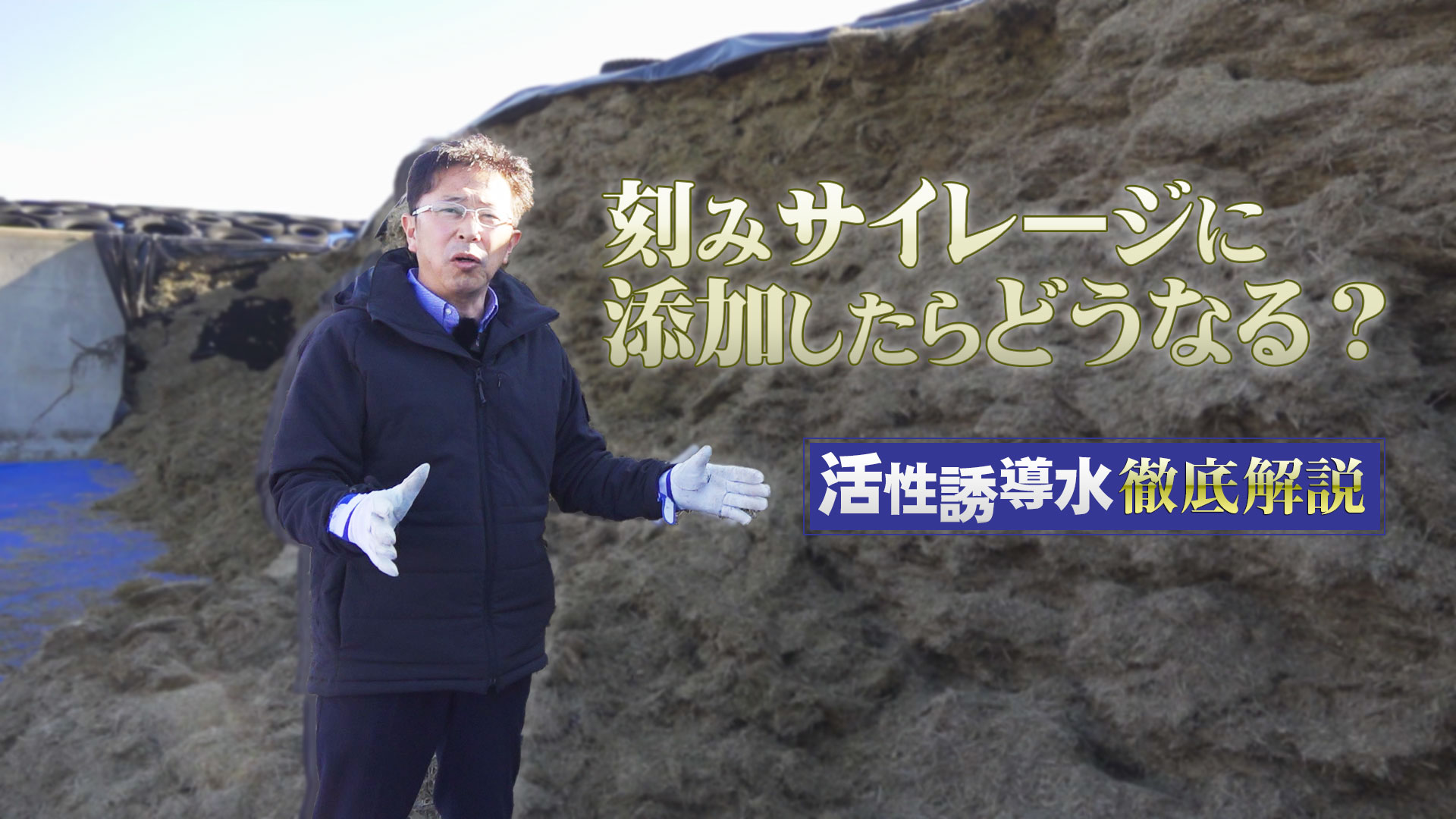 活性誘導水を刻みサイレージに添加する最大の特徴とは？【第168回】