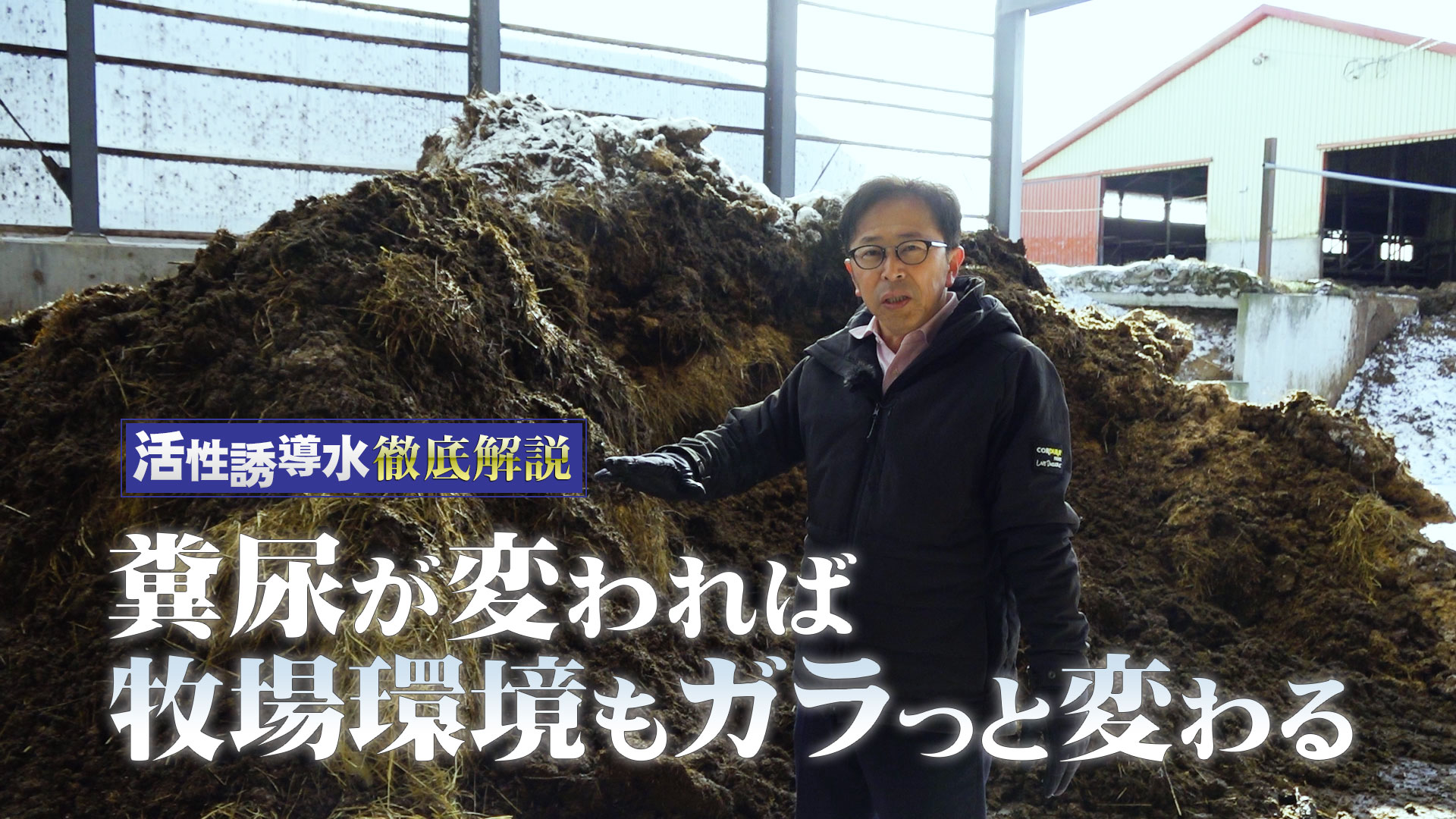 糞尿が変われば牧場環境もガラっと変わる【第172回】