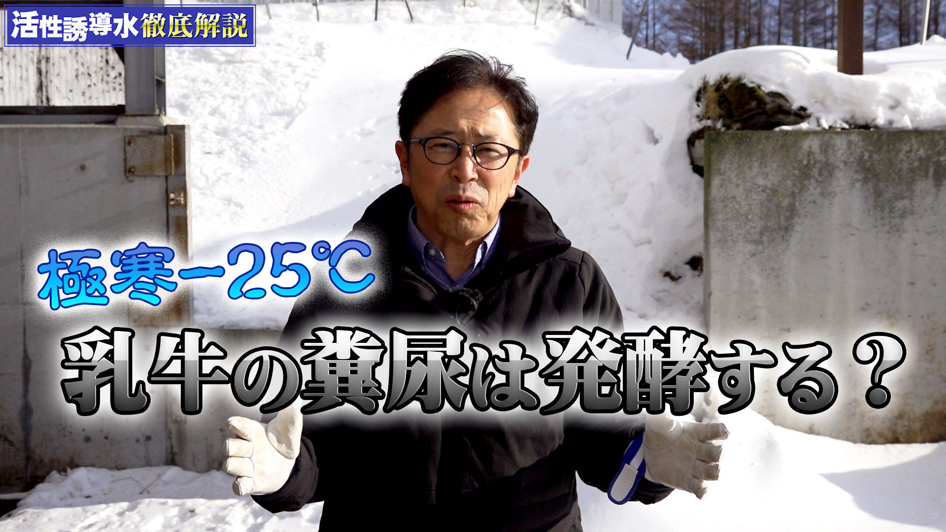 極寒－２５℃！乳牛の糞尿は発酵するのか？【第177回】