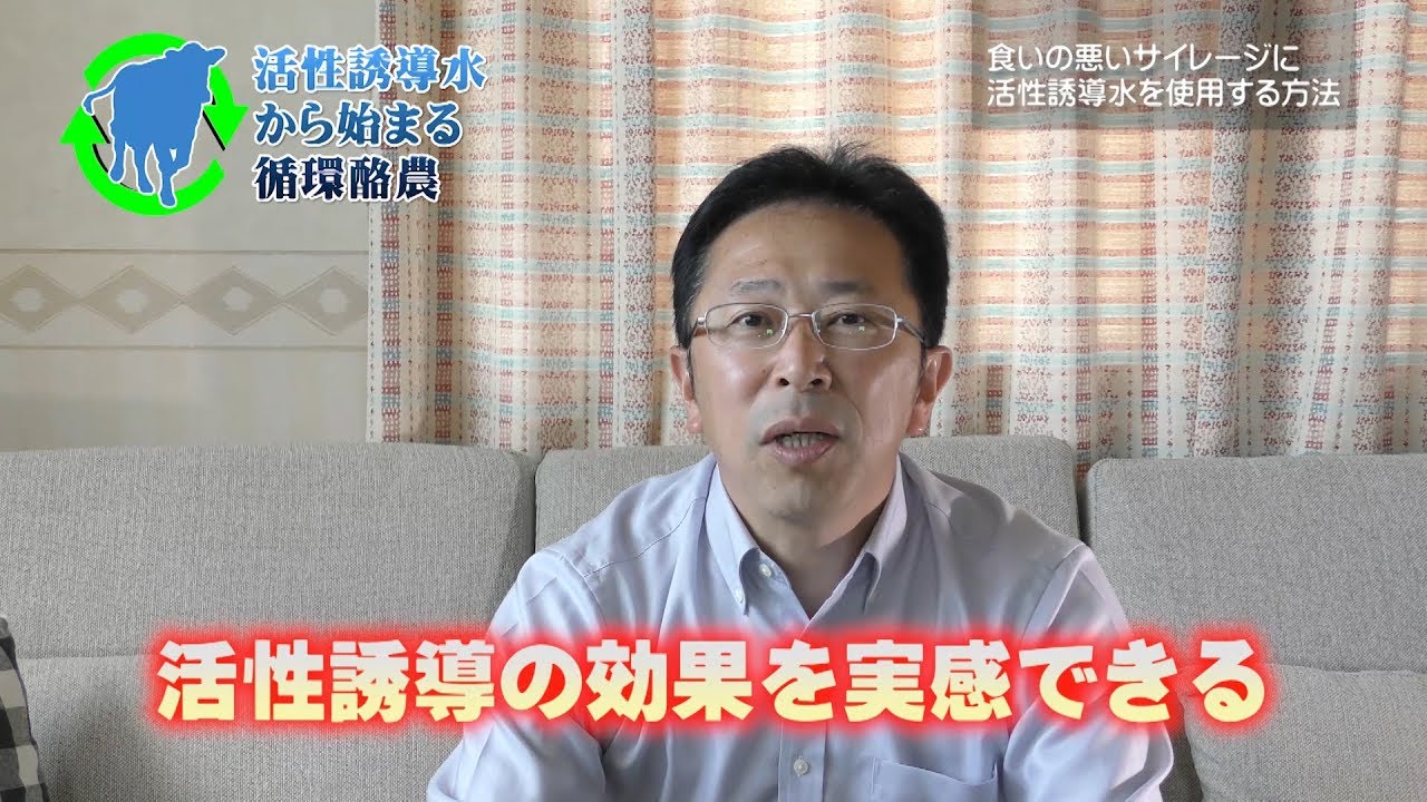 食いの悪いサイレージに活性誘導水を使うと？