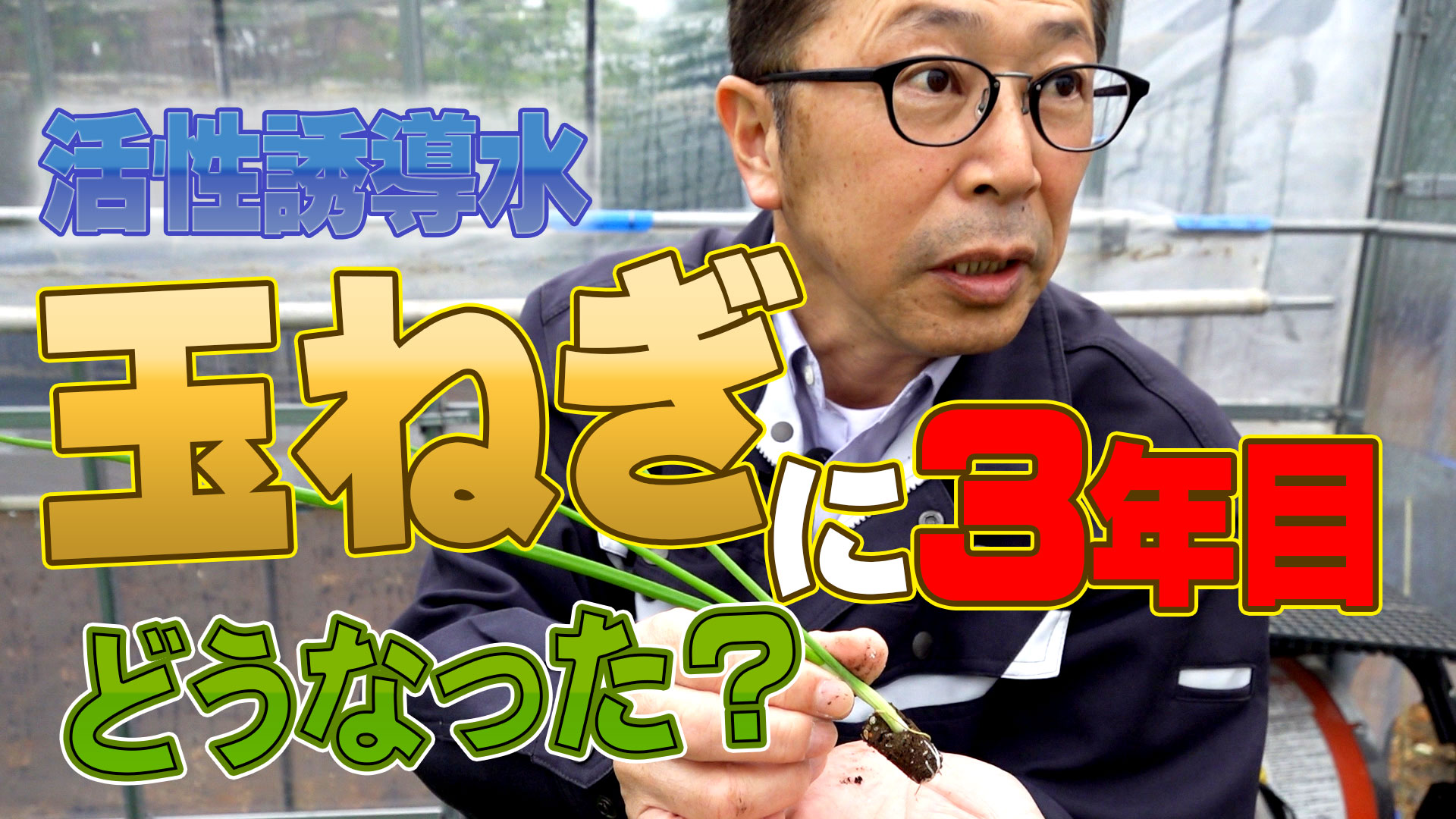 【３年目】玉ねぎに活性誘導水を添加したらどうなった？【第189回】
