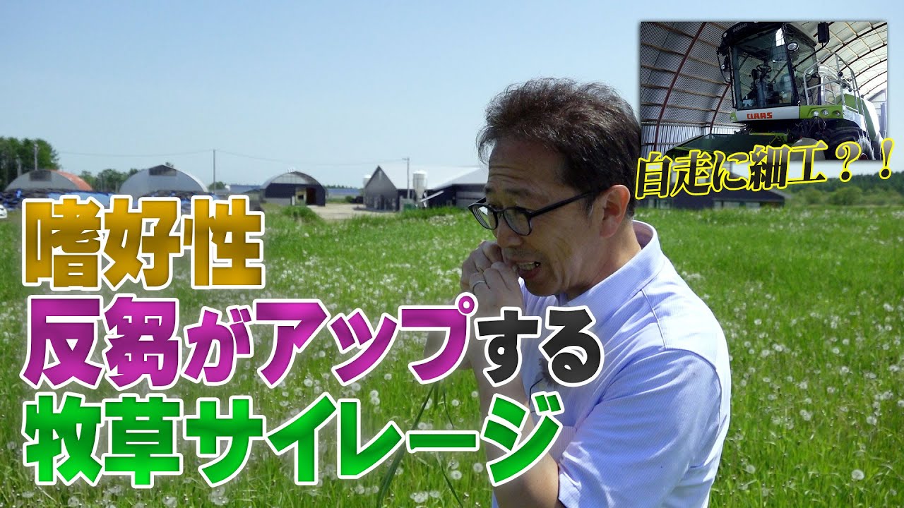 【ハーベスターに秘密】牛の嗜好性・反芻がアップする牧草サイレージを作るには？【第196回】