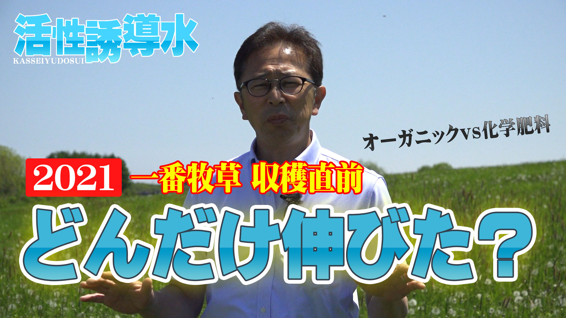 【道東／一番牧草収穫直前】活性誘導水を使った牧草の伸びはいかに？【第195回】