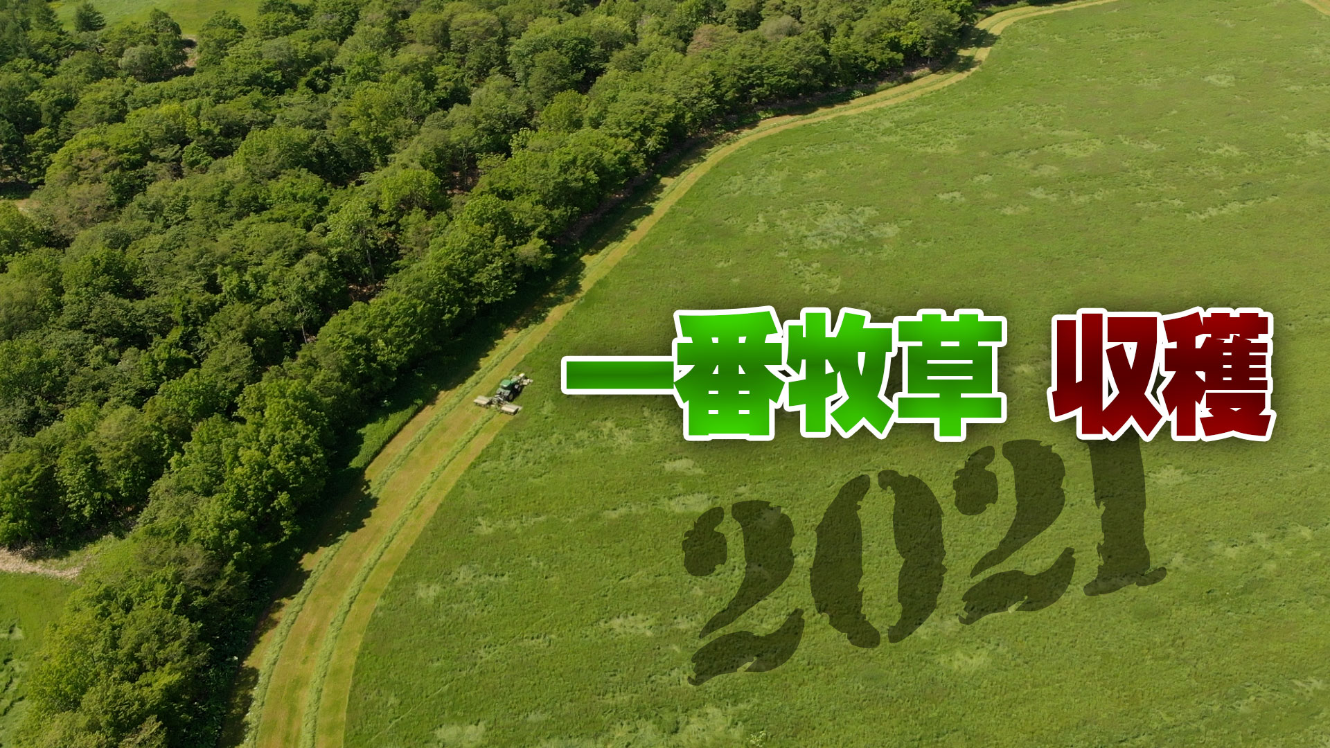 【一番牧草収穫2021】牧草の切断長を倍にして収穫／The first pasture in 2021 in Nakashibetsu, Hokkaido【第197回】