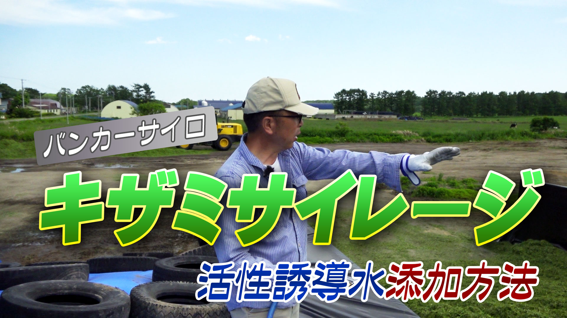 バンカーサイロで良質のキザミサイレージを作る為の活性誘導水の添加方法【第198回】