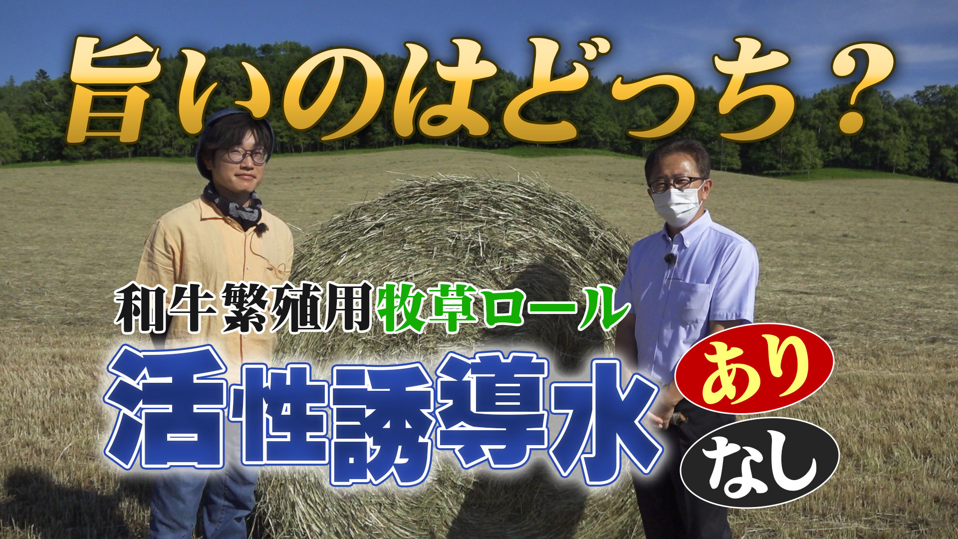 【和牛繁殖用牧草で実験】活性誘導水の添加あり・なしで出来具合を比較！～実験内容・作業風景【第201回】