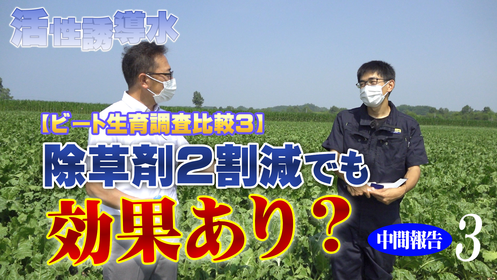 【ビート生育調査比較３】除草剤２割減でも効果あり？中間報告３【第203回】