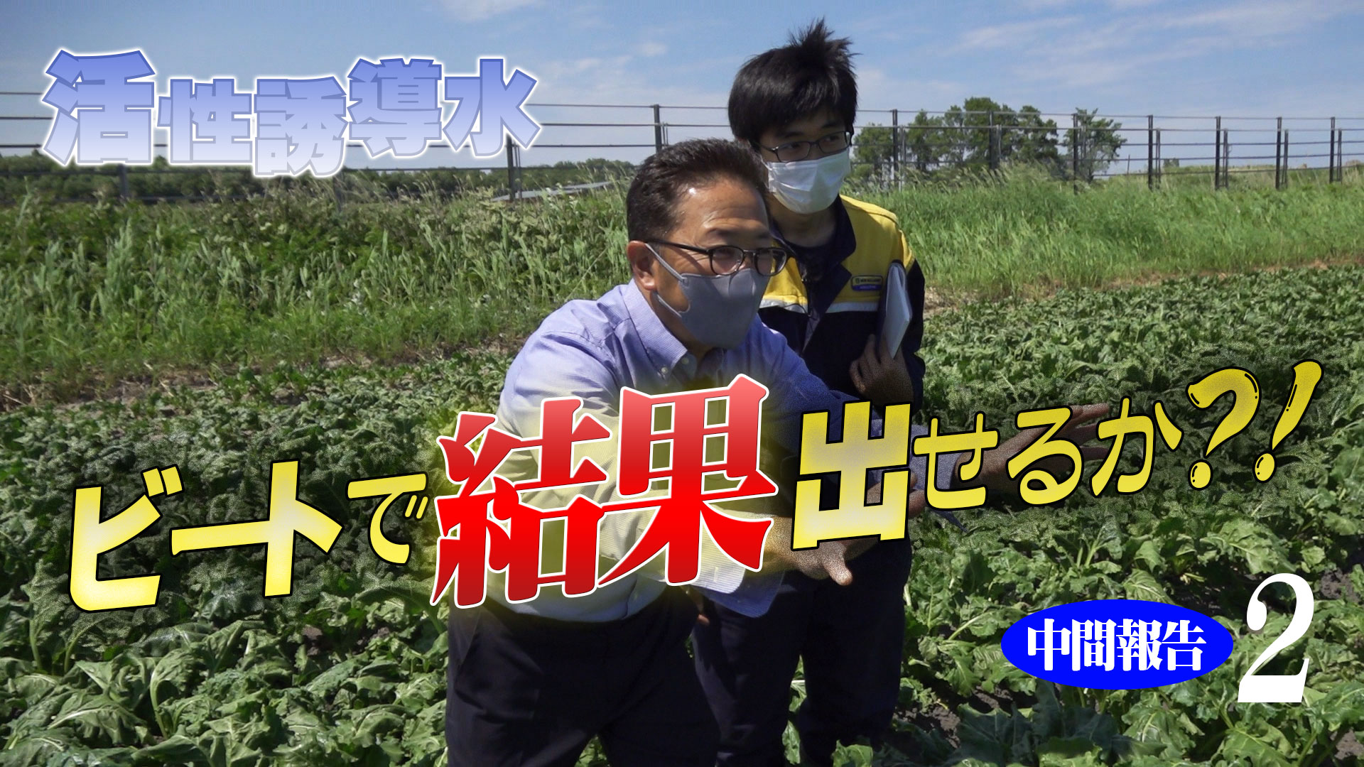 【ビート生育調査比較】活性誘導水はビートでも結果を出せるのか？！中間報告２【第199回】