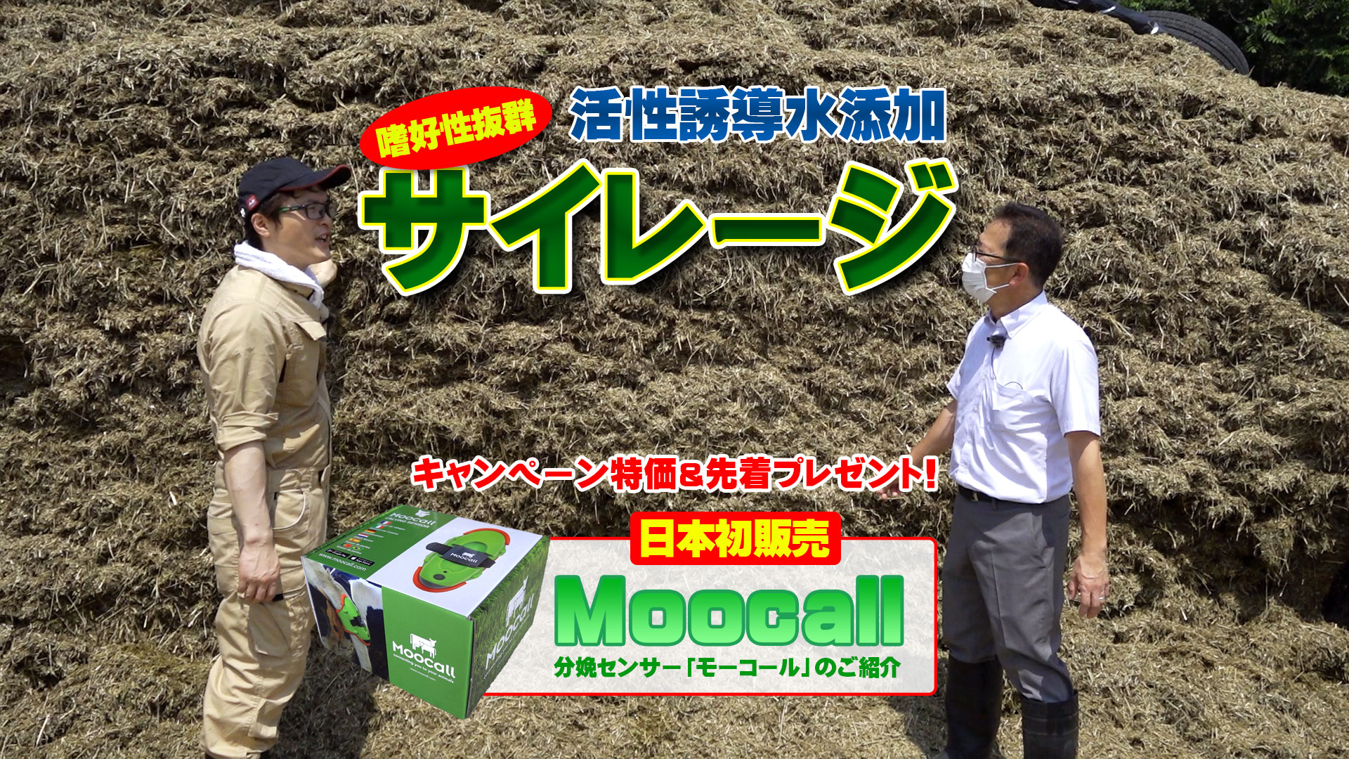 【嗜好性抜群】活性誘導水を添加したサイレージの出来は？＆【日本初】分娩センサー「モーコル」って何？【第２０２回】