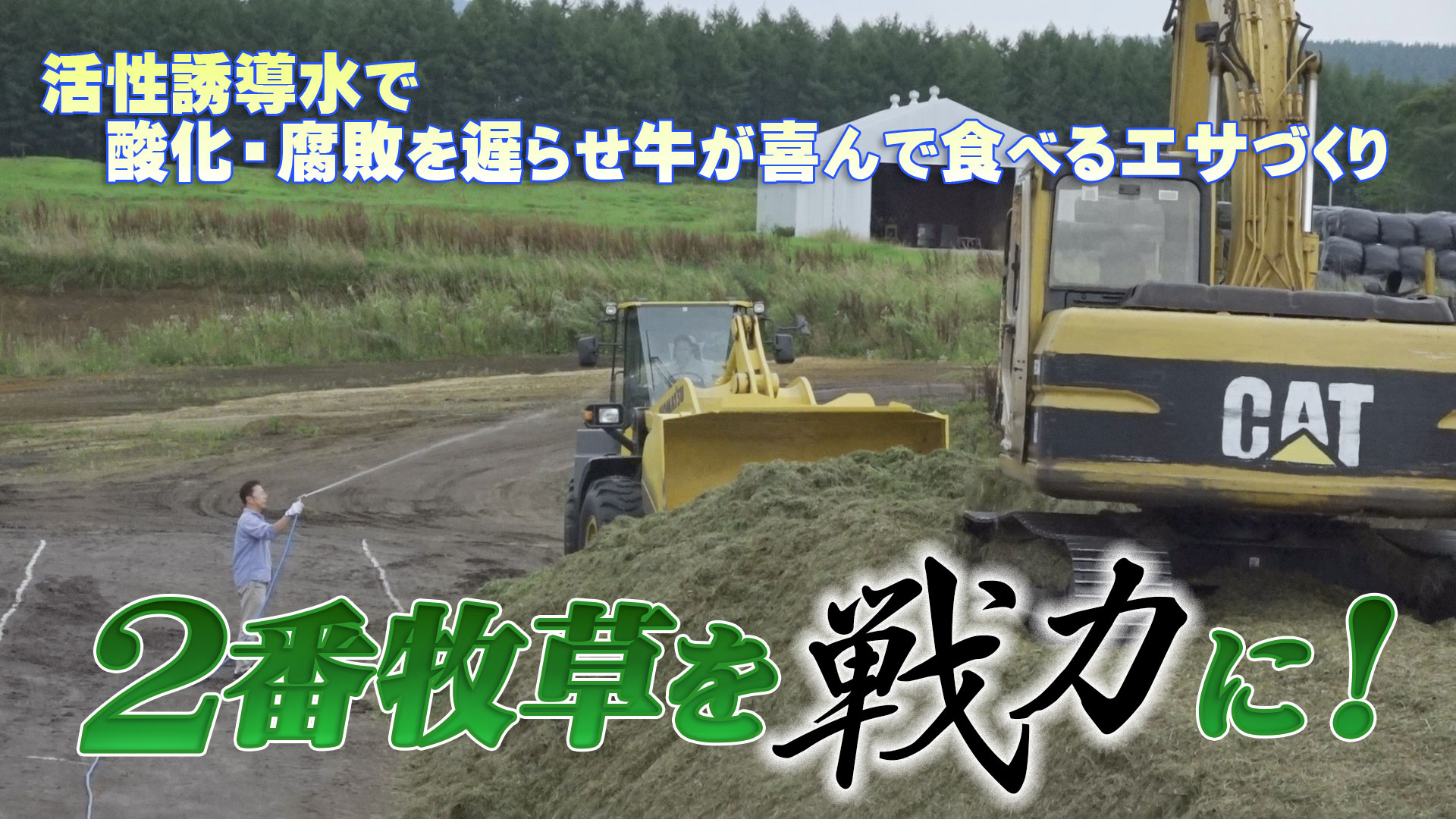 ハーベスターで刻んだ２番牧草を食べる餌に！活性誘導水の添加量とその効果とは？【第206回】