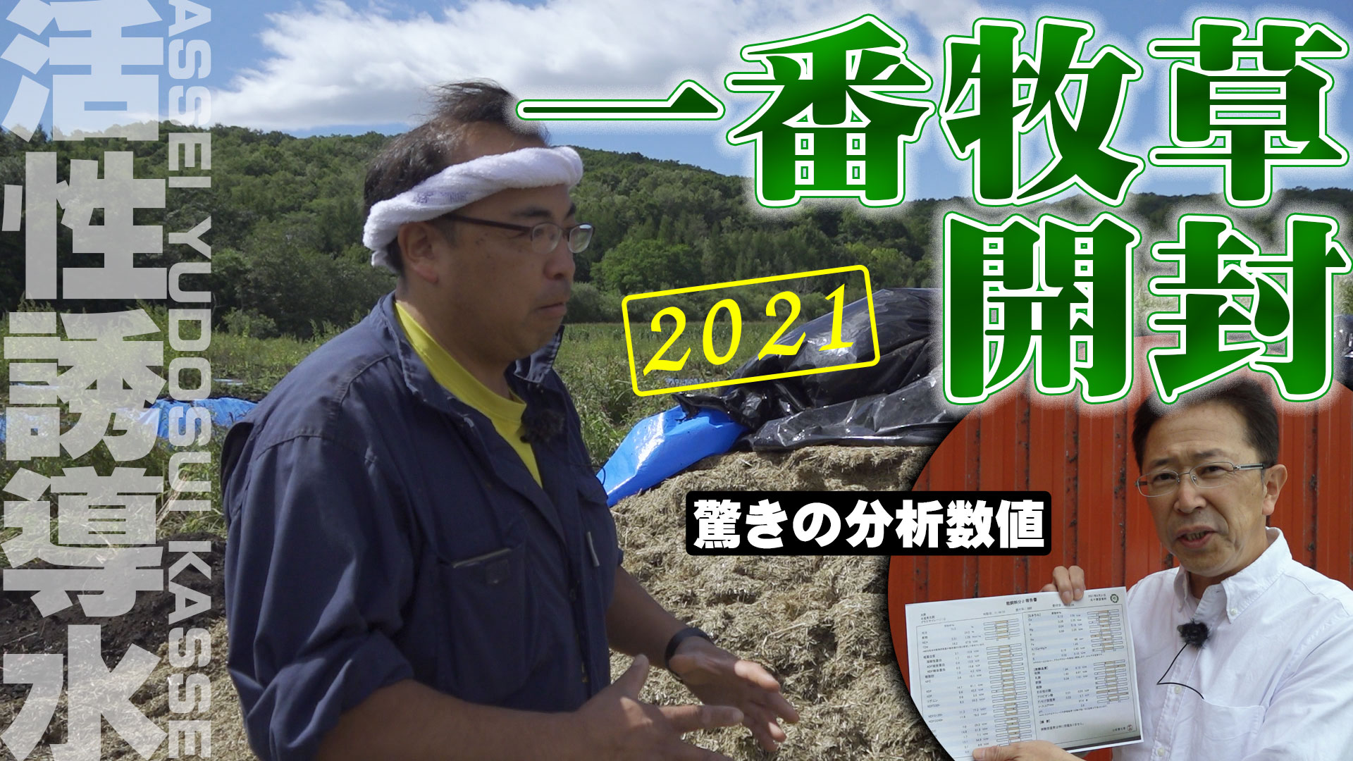 【驚きの分析数値】暑い夏でも食べるサイレージに！活性誘導水を散布した一番牧草を開封！【第209回】
