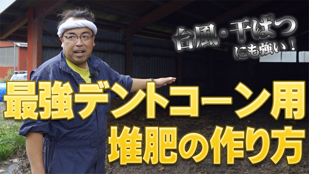 【台風・干ばつに強い】最強デントコーン用堆肥の作り方！【第213回】