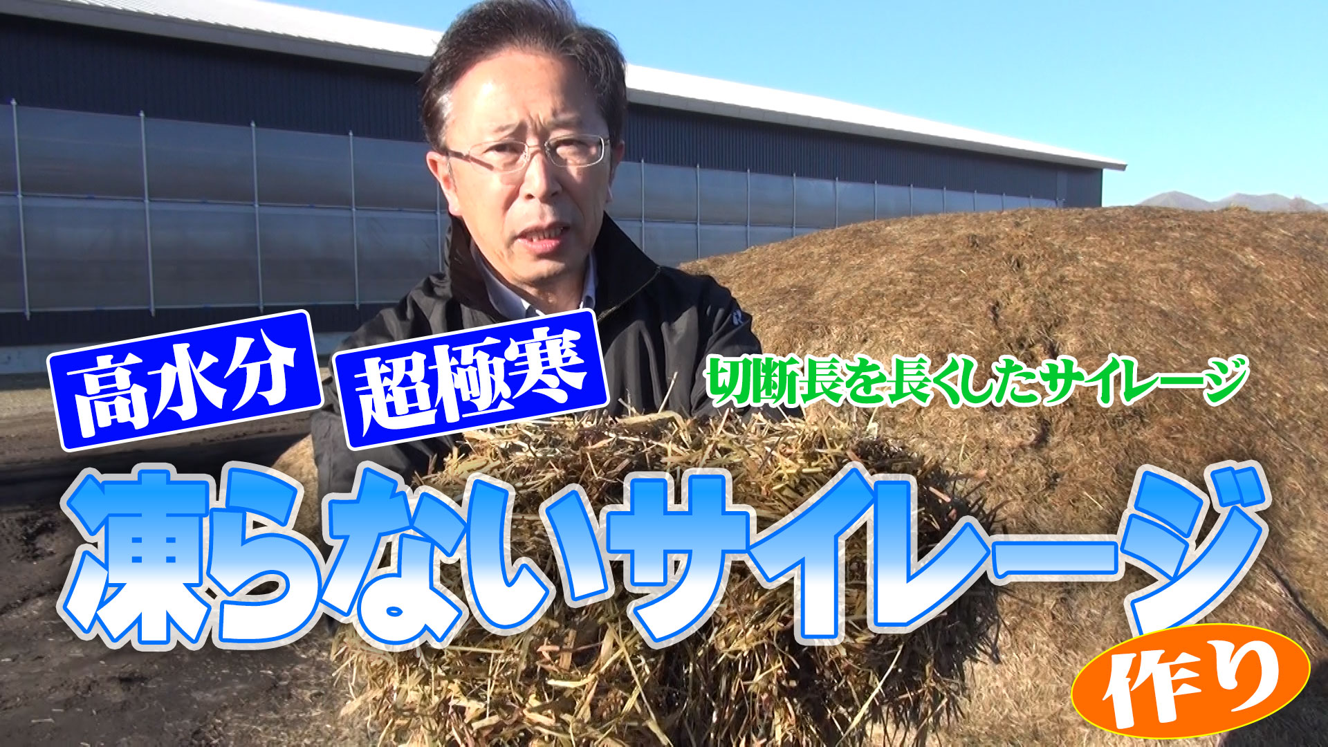 【２番草開封】【２番草開封】活性誘導水BS添加で冬でも凍りにくい細断ロールサイレージ【DNW218】