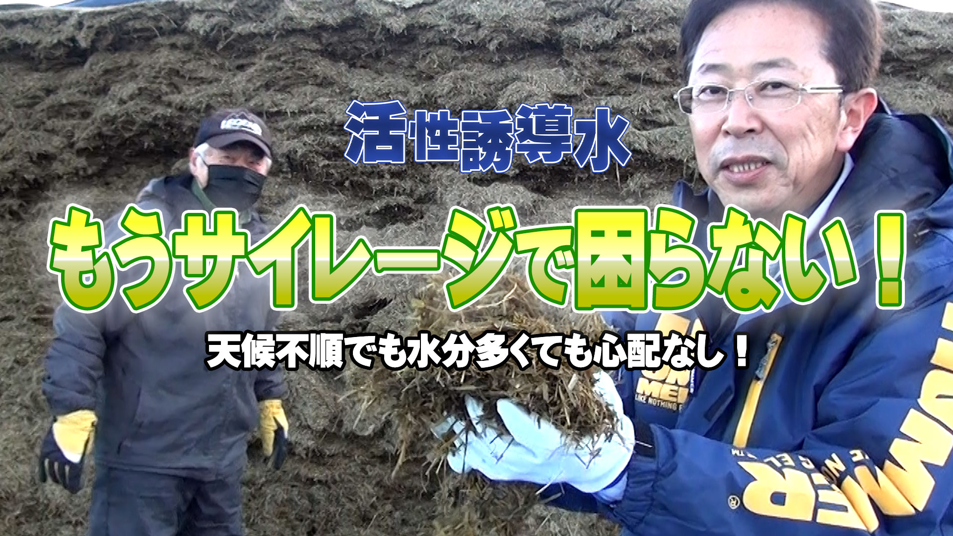 【毎年心配ない】困るぐらい食べ過ぎるサイレージが安定して出来る！