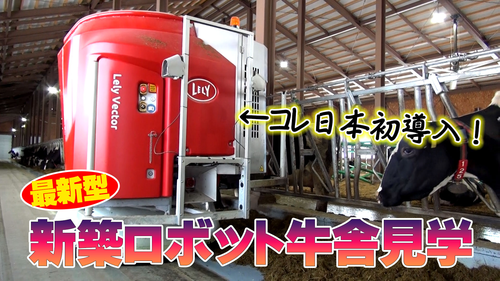 【新築牛舎訪問】日本初導入！LELY最新型給餌ロボットが凄い！【DNW227】