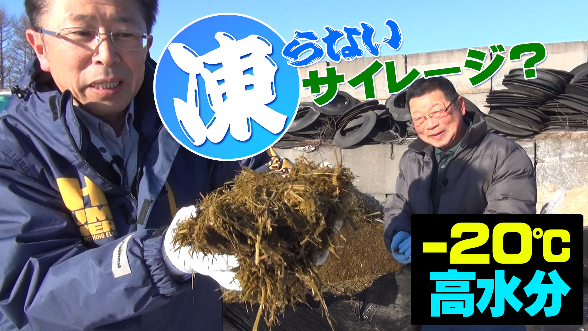 【高水分なのに？】－２０℃ 極寒でも凍らないサイレージ？【DNW225】
