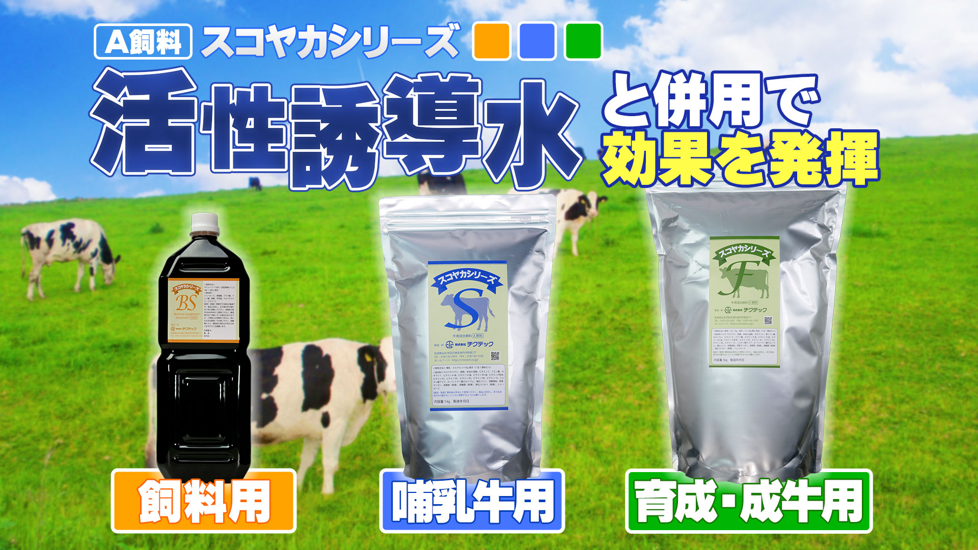 【活性誘導水と併用で効果発揮】飼料用・哺乳牛用・育成牛/成牛用 目的別A飼料！スコヤカシリーズ【DNW231】