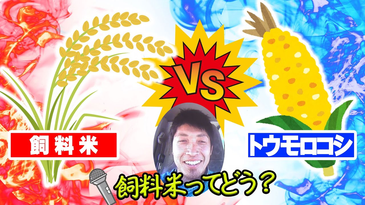 【数値的比較】飼料米はトウモロコシの代わりになるか？飼料米の利用者インタビュー（前半）も【DNW235】