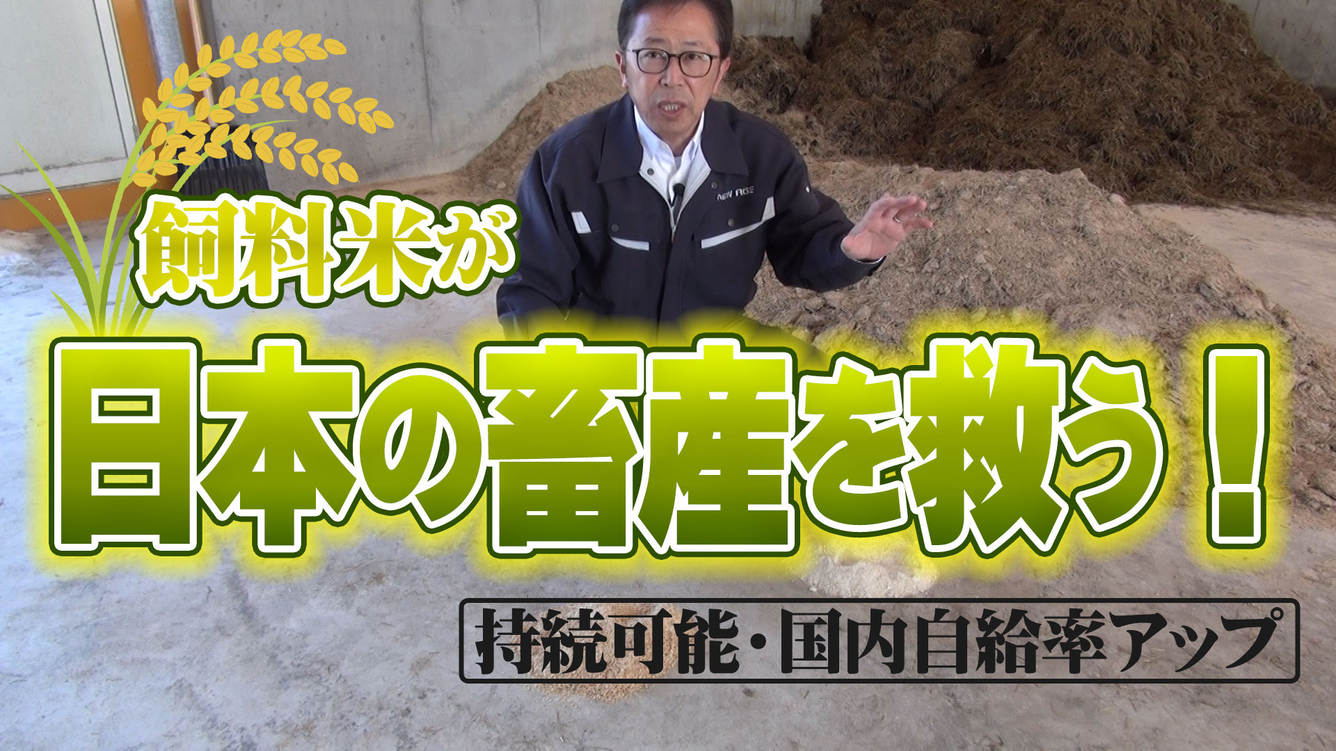 【持続可能】国内自給率アップ！飼料米が日本の畜産を救う！【DNW234】