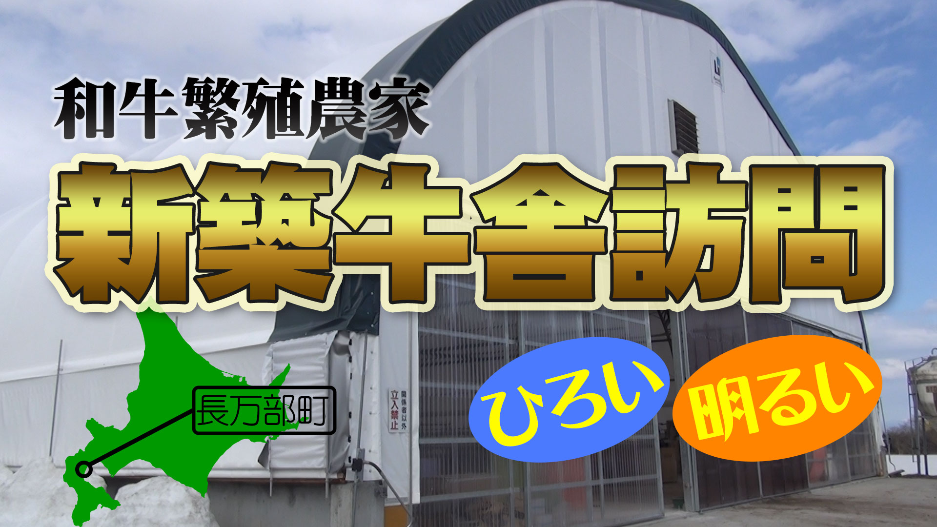 【新牛舎訪問】広くて明るいビニールシートの牛舎（長万部町・和牛繁殖）【DNW239】
