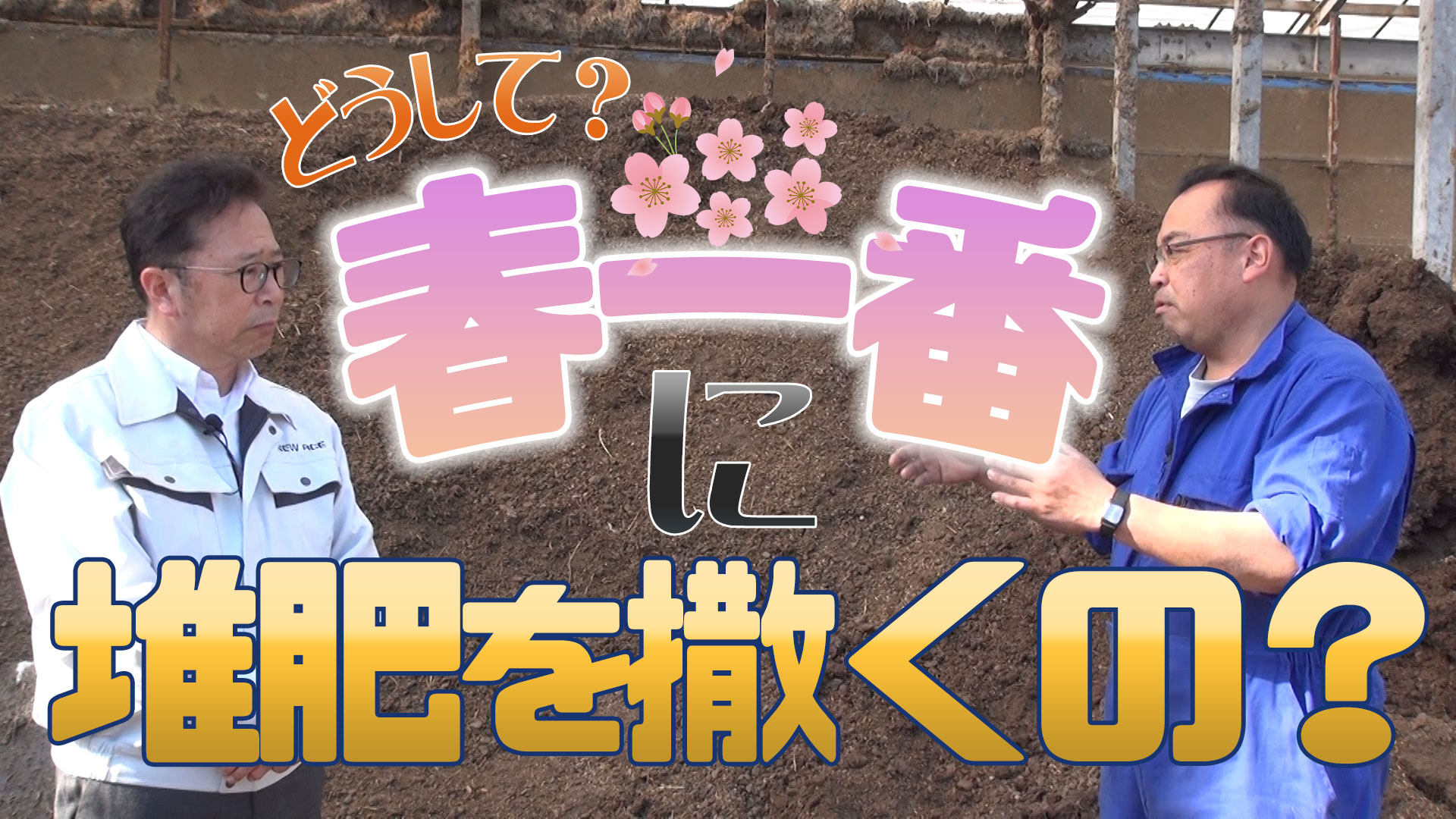 【春に堆肥撒き？】なんで春一番に堆肥を撒くの？その理由と効果について聞いてみた【DNW240】