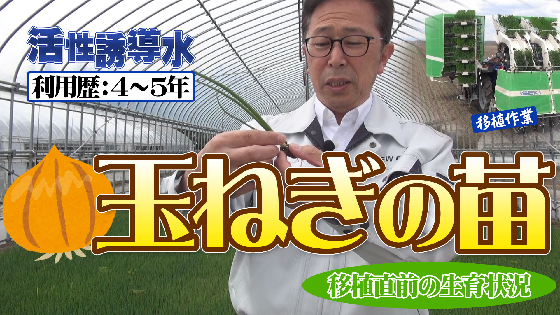 【玉ねぎ移植直前】活性誘導水を４～５年使ったら作物・土壌はどう変わった？