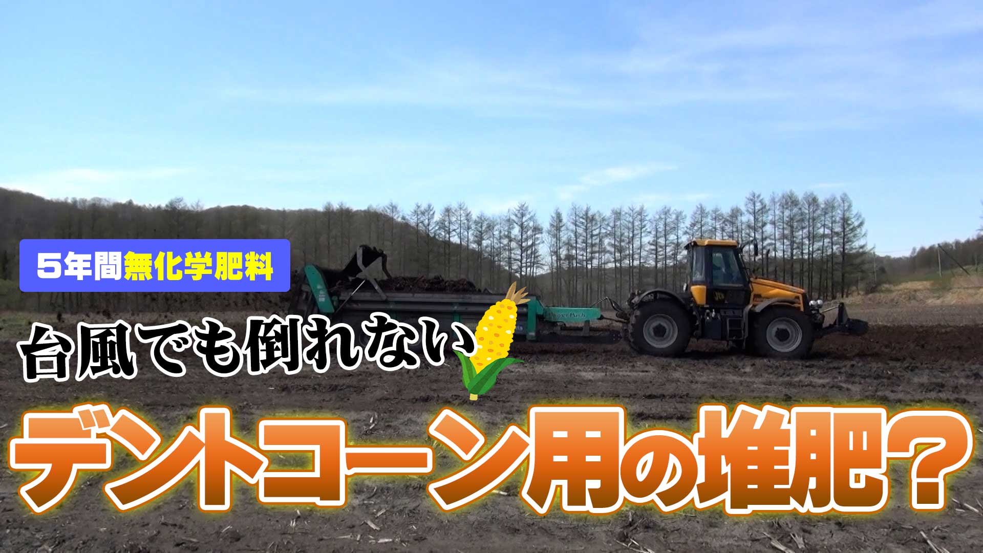 【５年間無化学肥料】台風でも倒れないデントコーン用の堆肥とは？【DNW245】