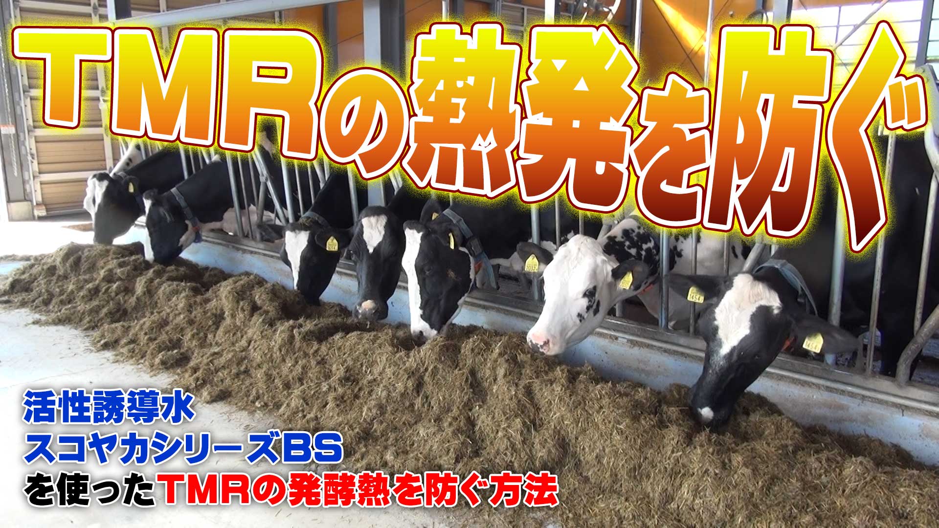 活性誘導水とBSでTMRの熱発を防ぐ方法【DNW246】