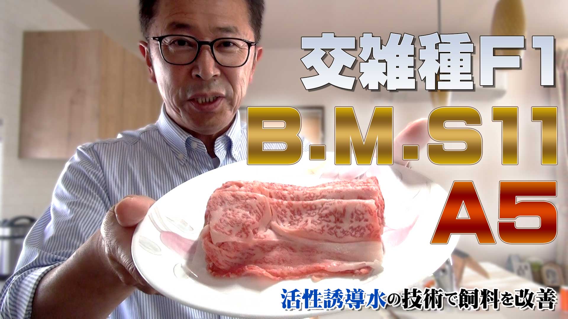 【交雑種F1でA5 B.M.S11】活性誘導水の技術で飼料を改善！【DNW248】