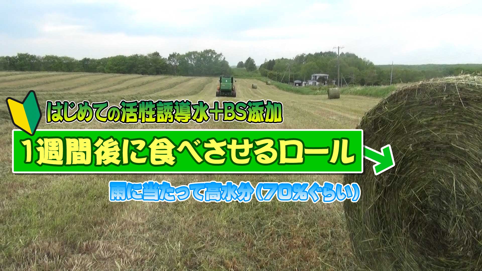 【２０２２初めての活性誘導水+ＢＳ添加】雨当たり高水分牧草のロール作業～１週間後に食べさせる？！【DNW249】
