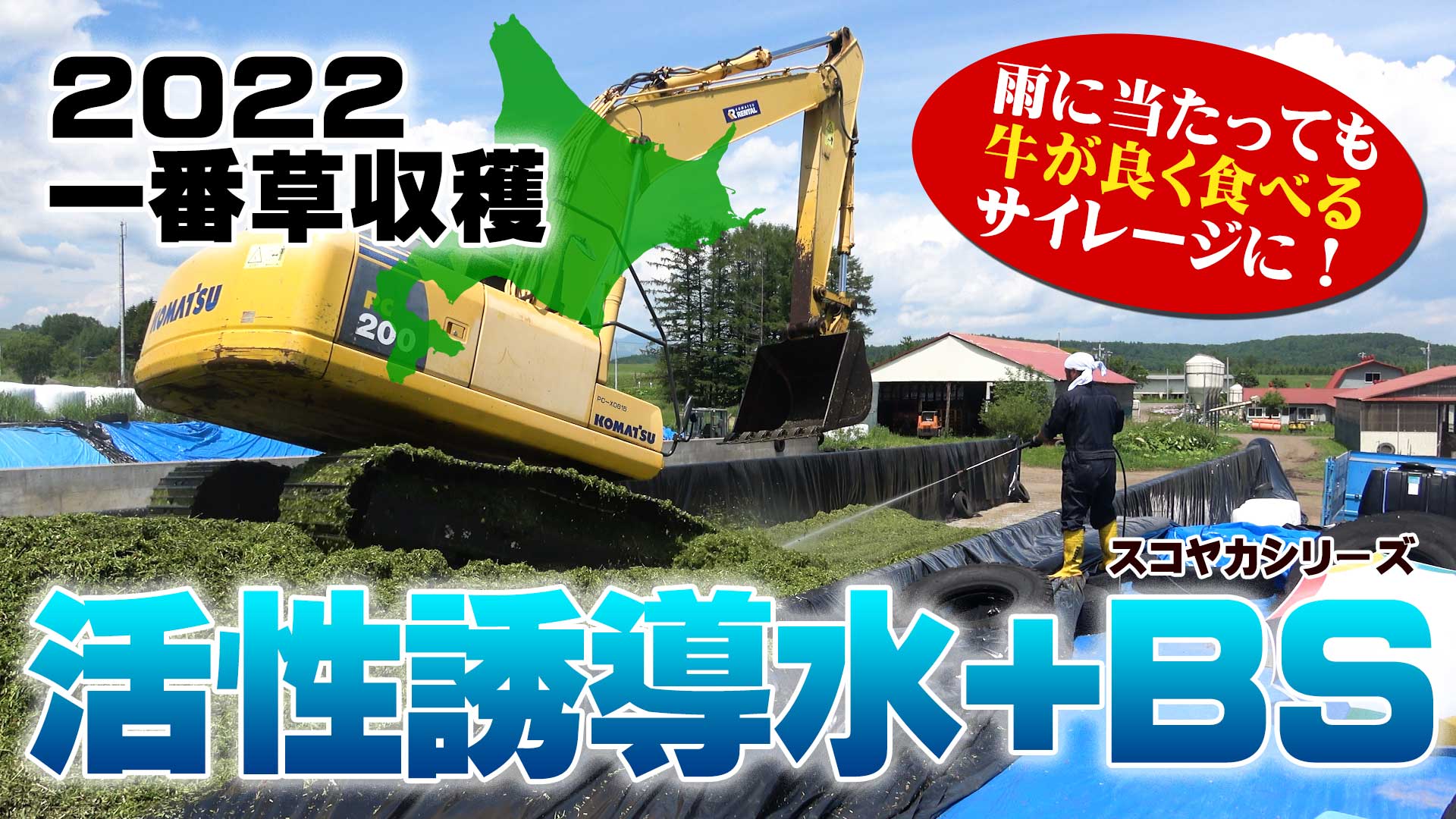 【２０２２一番牧草収穫】雨に当たった牧草も活性誘導水+ＢＳを添加すれば牛もよく食べるサイレージに！【DNW250】