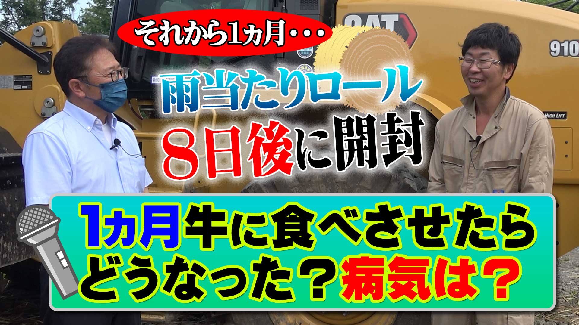 【それから１ヵ月】ロールしてから８日目で開封！牛たちの様子は？【DNW254】