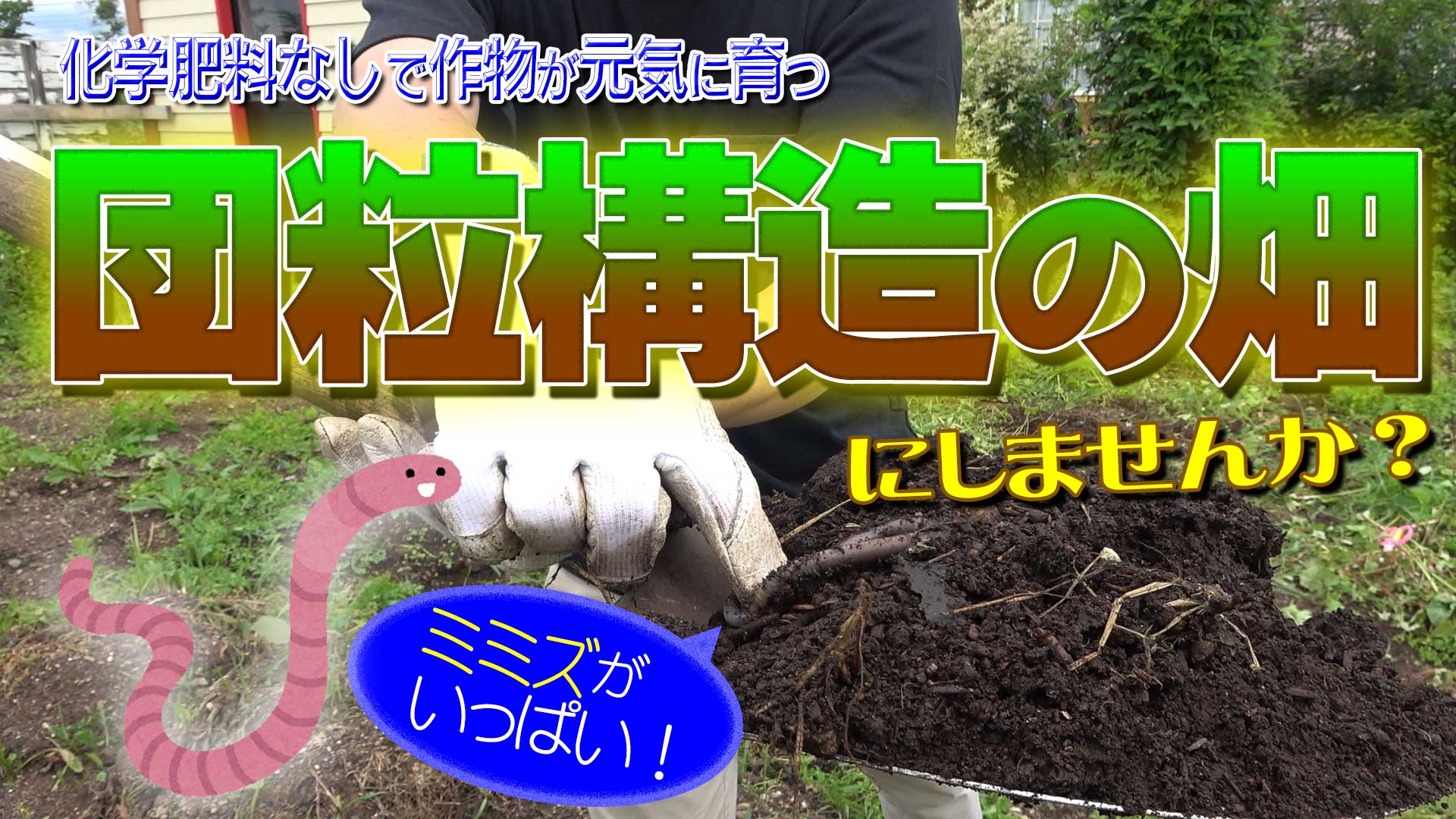 【家庭菜園】活性誘導水と少しの手間でミミズがいっぱい棲む団粒構造の畑に【DNW257】
