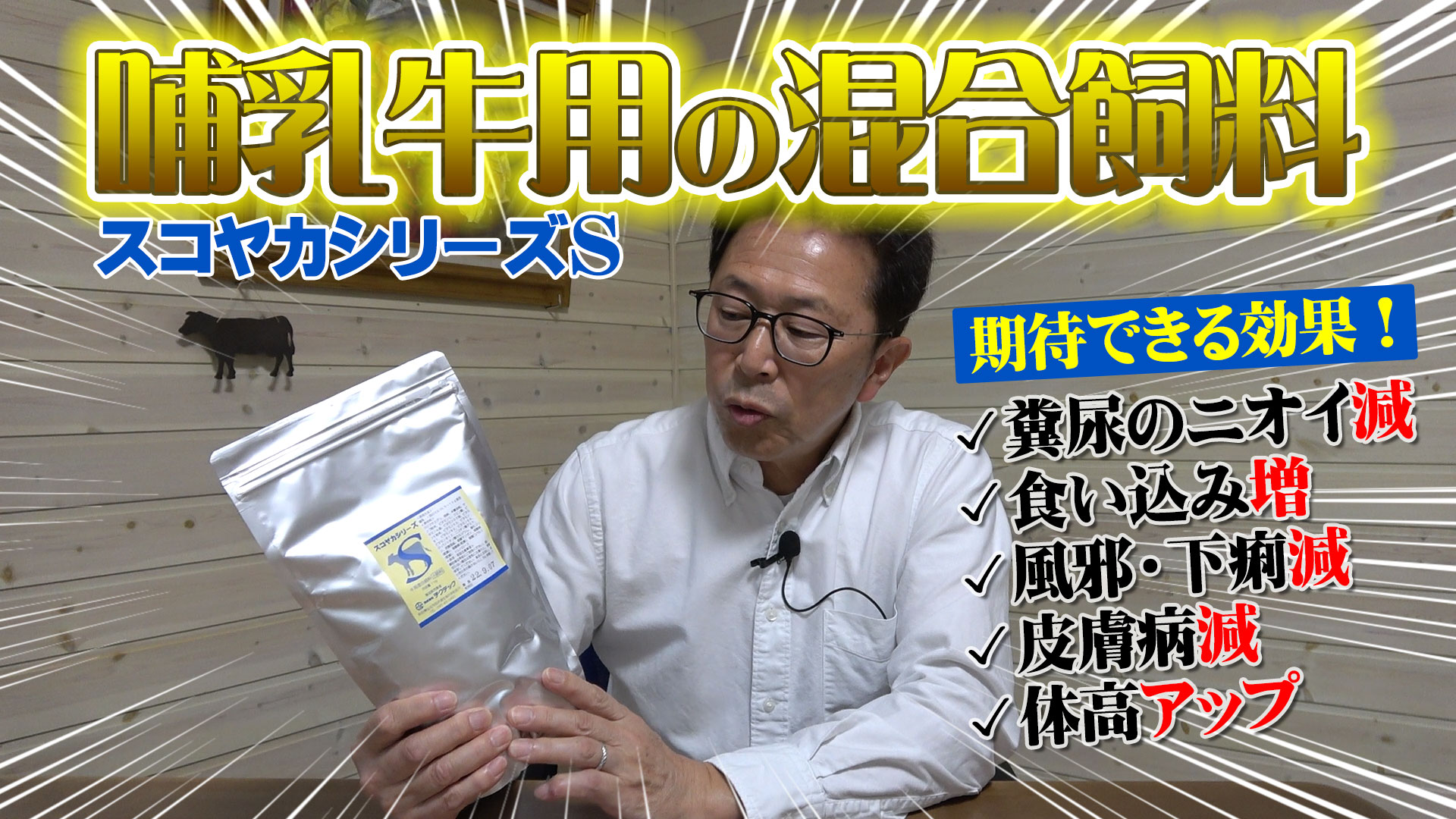 【哺乳牛用混合飼料の注文増！】その効果と注意点とは？