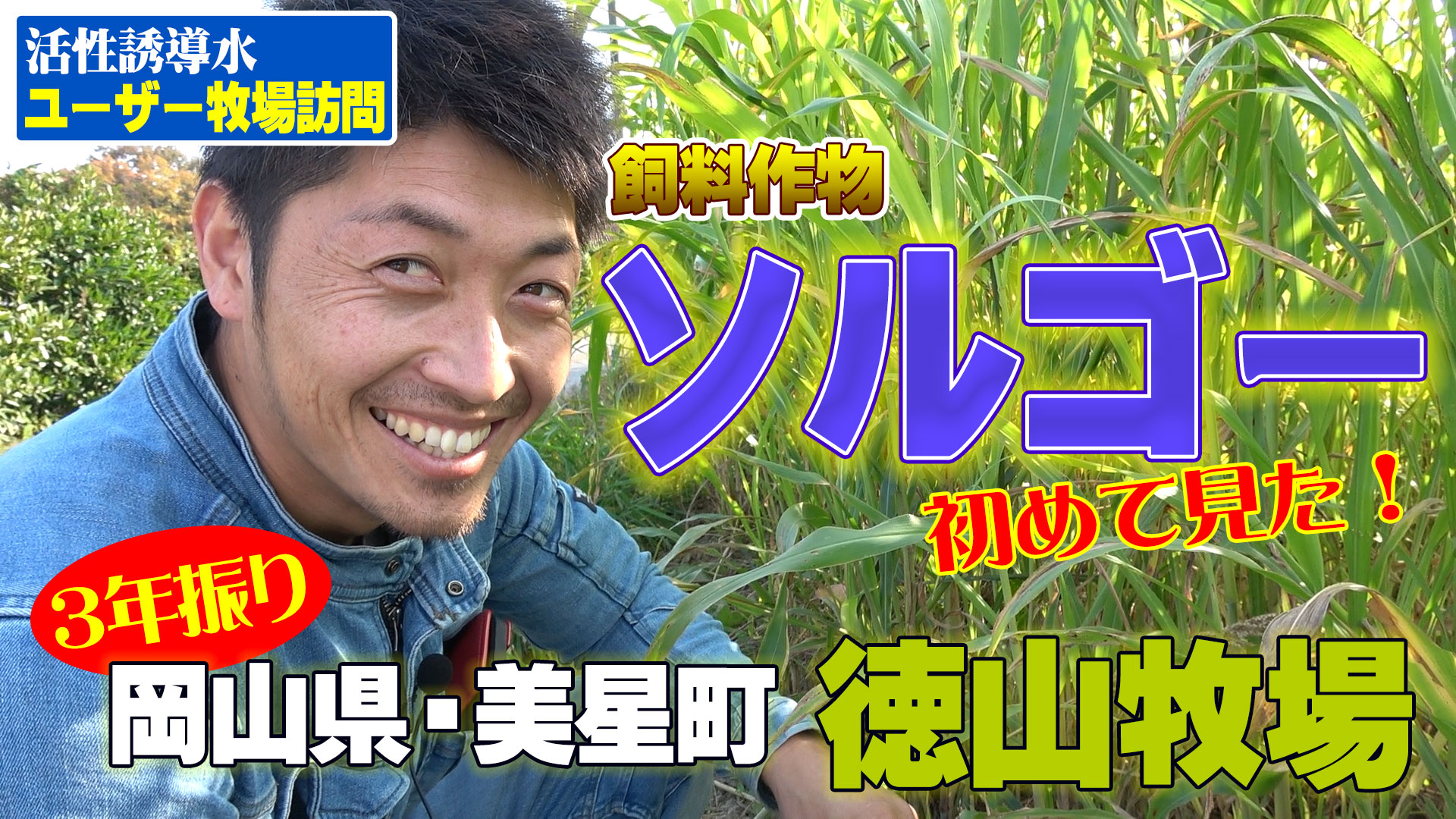 【３年振りの岡山県・徳山牧場】最終回～飼料作物”ソルゴー”とは？ Vol.4/4【DNW272】