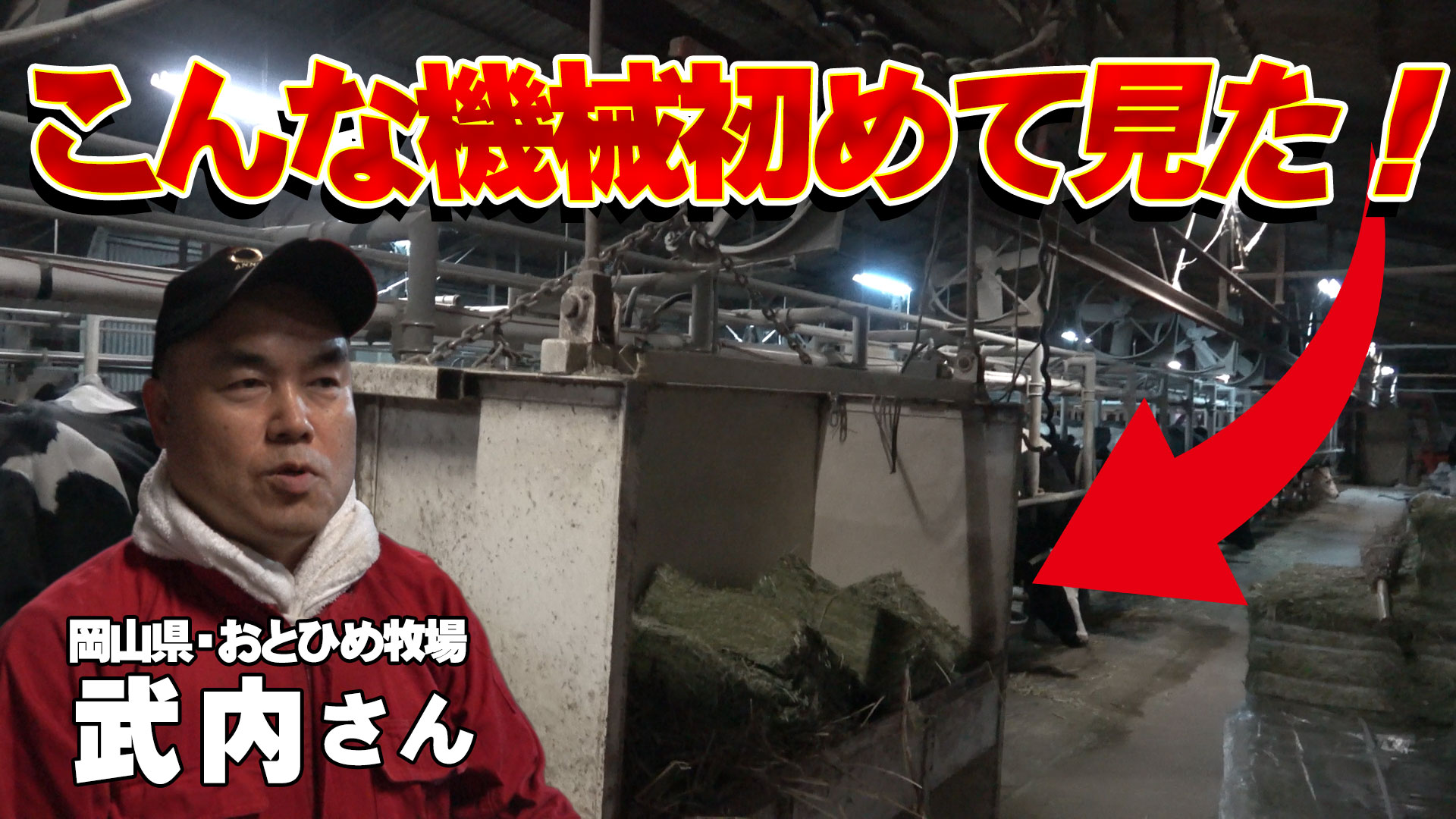 【岡山県・おとひめ牧場】こりゃ便利！こんな機械初めて見た！【DNW273】