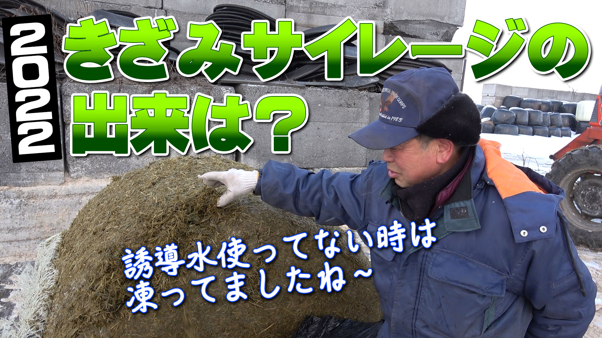 2022年の活性誘導水＋ＢＳ添加のきざみサイレージの出来を3軒の牧場に見せてもらった【DNW278】