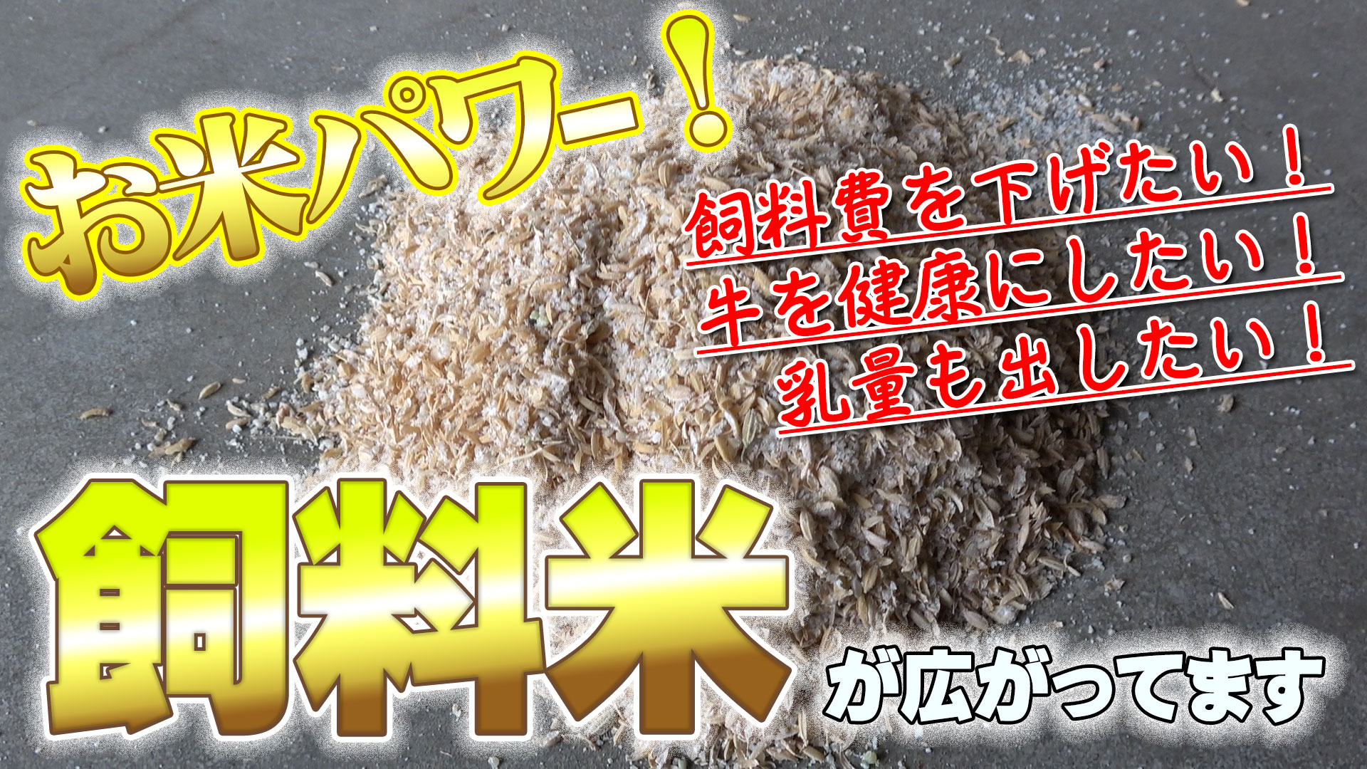 【お米パワー！】飼料米が広がっています！【DNW289】