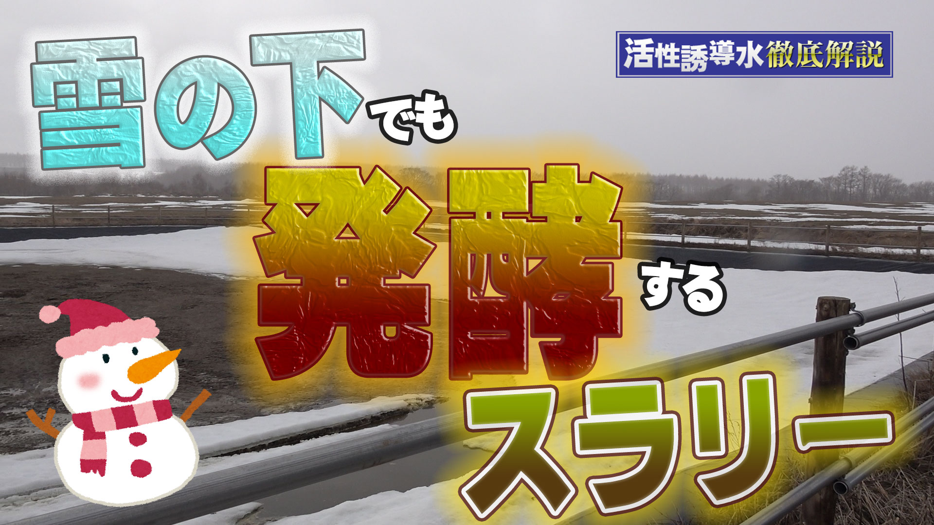 【まもなく春】誘導水を飲ませているスラリーは雪の下でも発酵！【DNW290】