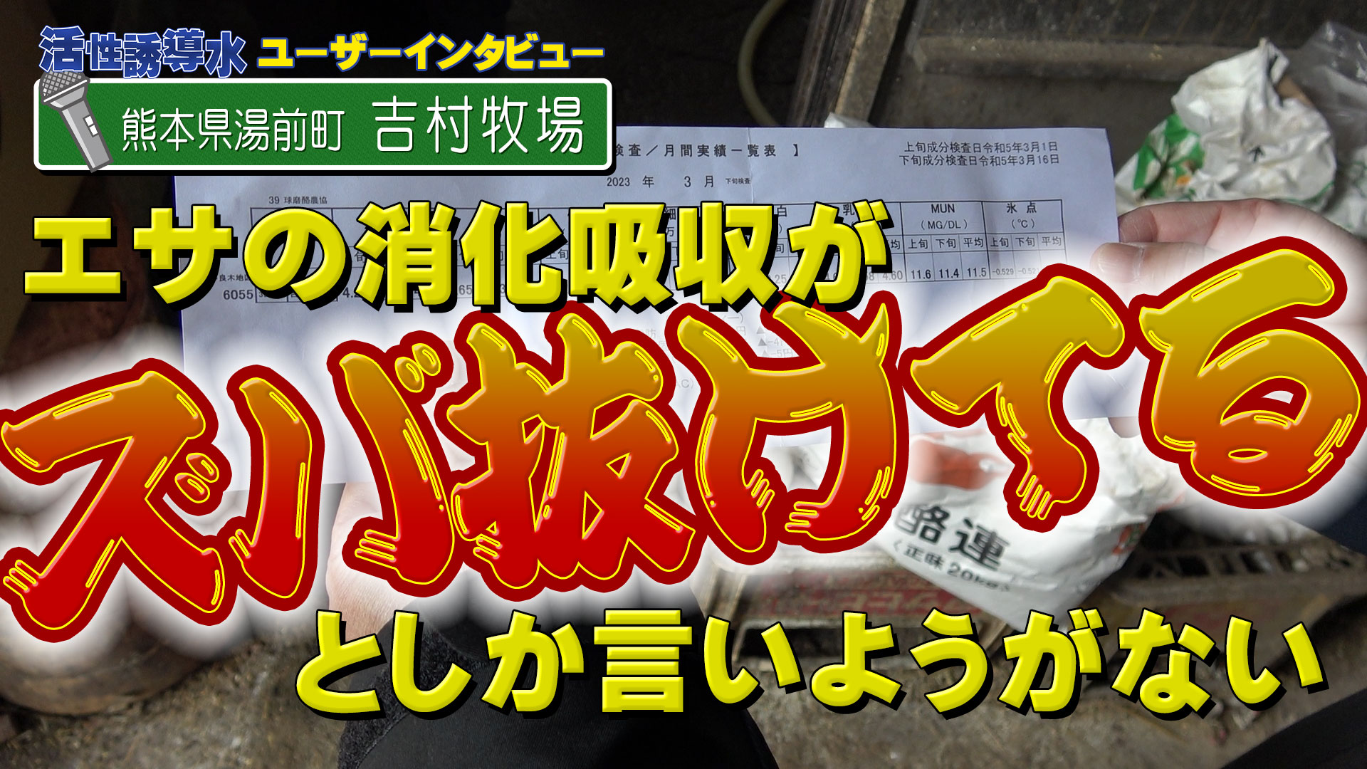 【誘導水＋ＢＳ】禁断の使用方法でびっくりする数値が！熊本県湯前町・吉村牧場【DNW292】