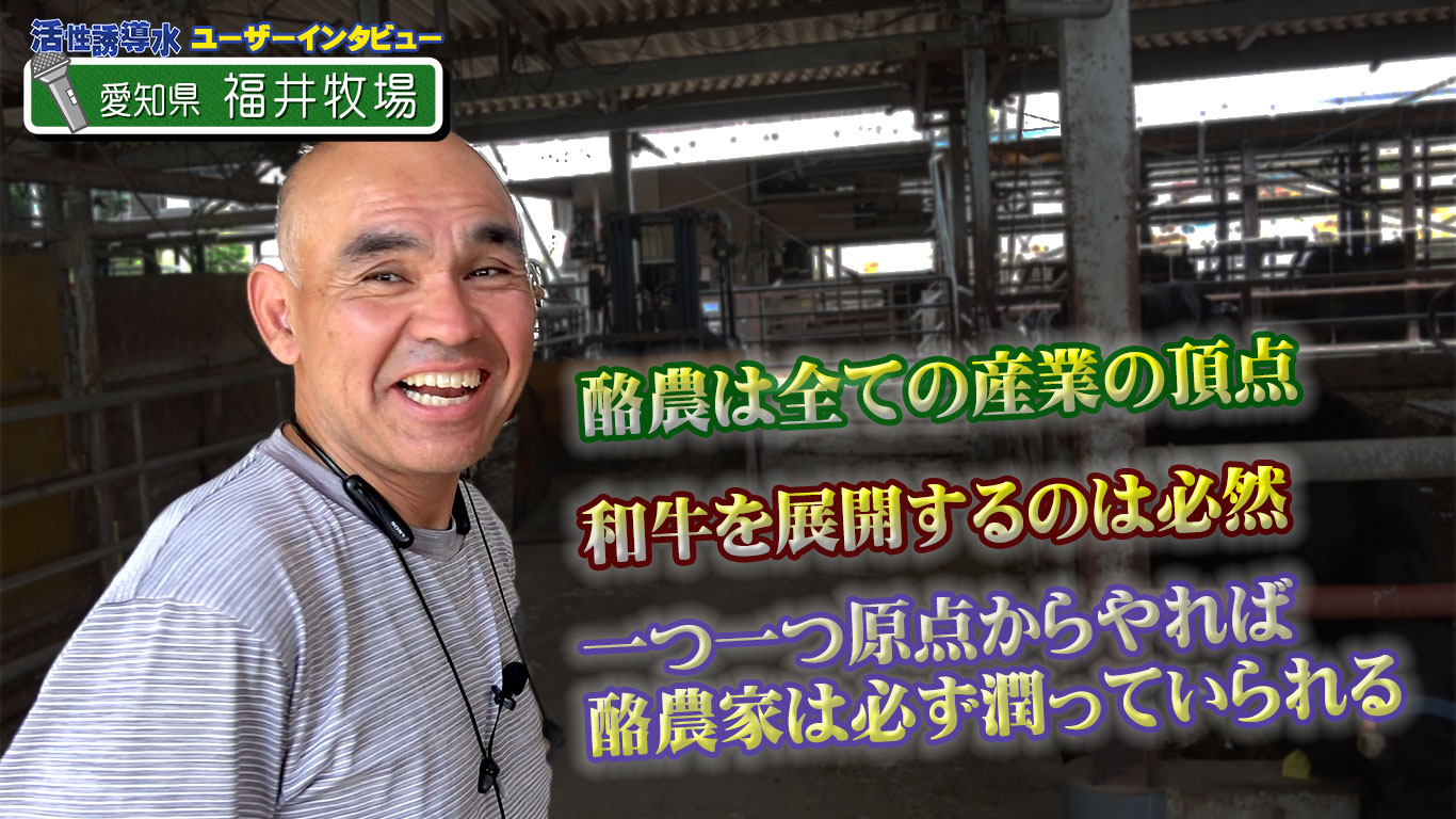 【和牛も始めた？！】先を見据えた経営が功を成す～愛知県・福井牧場４年ぶりの訪問【DNW298】
