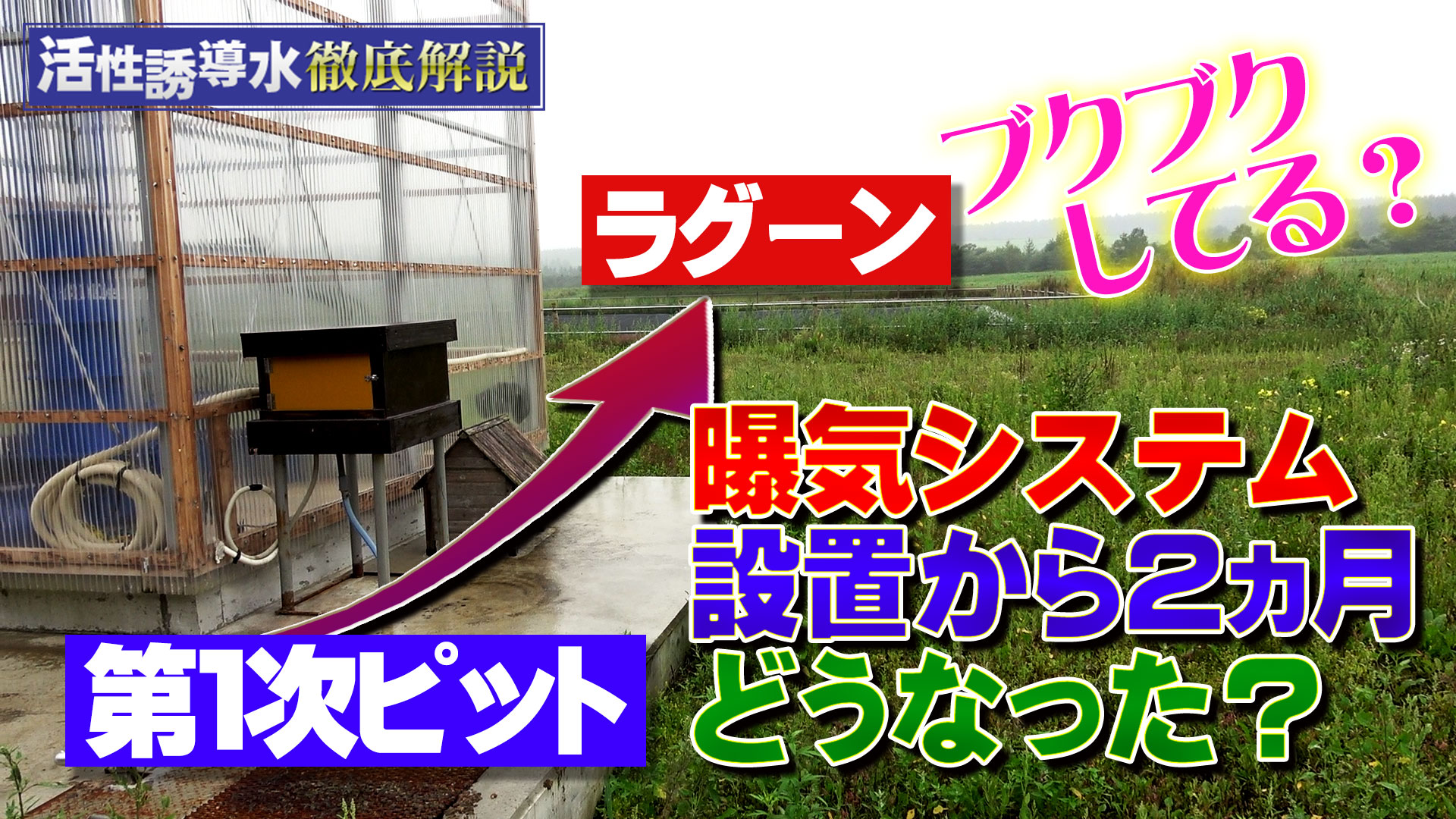 【ブクブクしてる？】スラリー第１次ピット簡易曝気システム設置から２ヵ月！現在のラグーンの状況は？【DNW310】