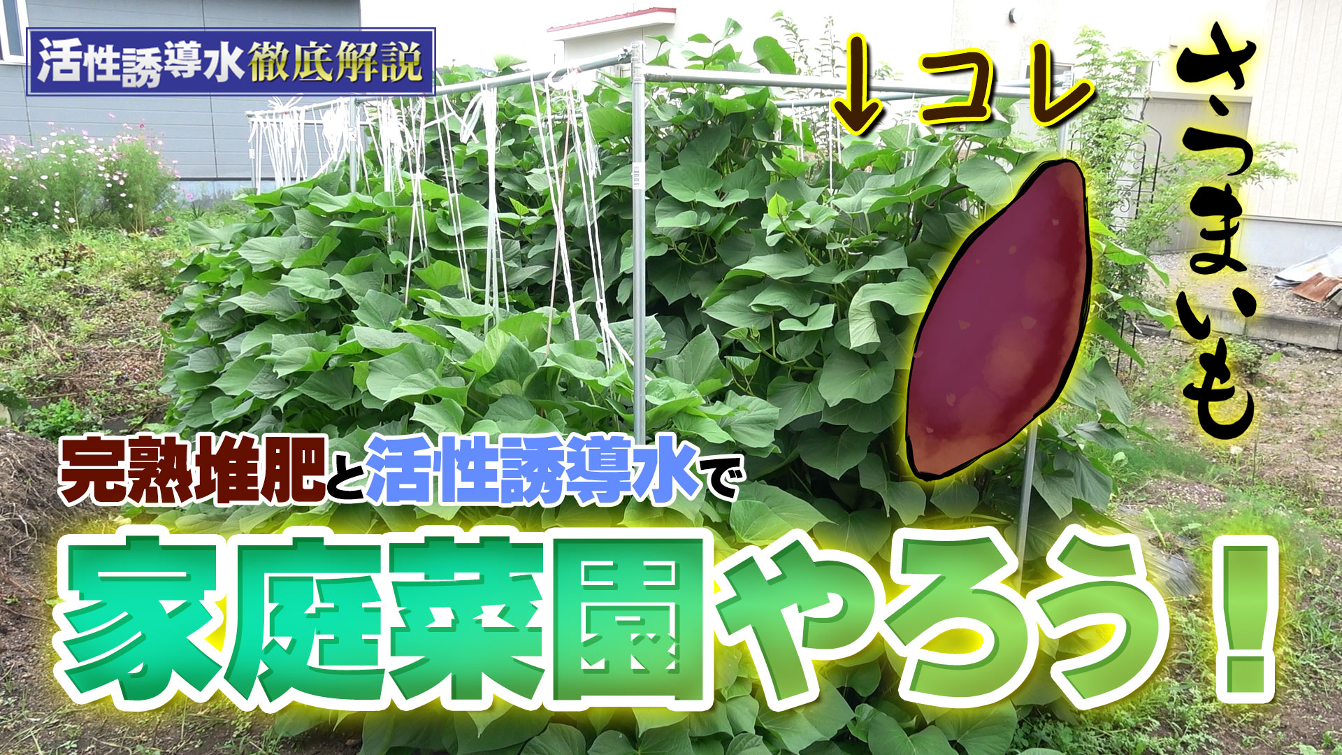 【もっと楽農へ】完熟堆肥と活性誘導水で家庭菜園をしよう！【DNW311】